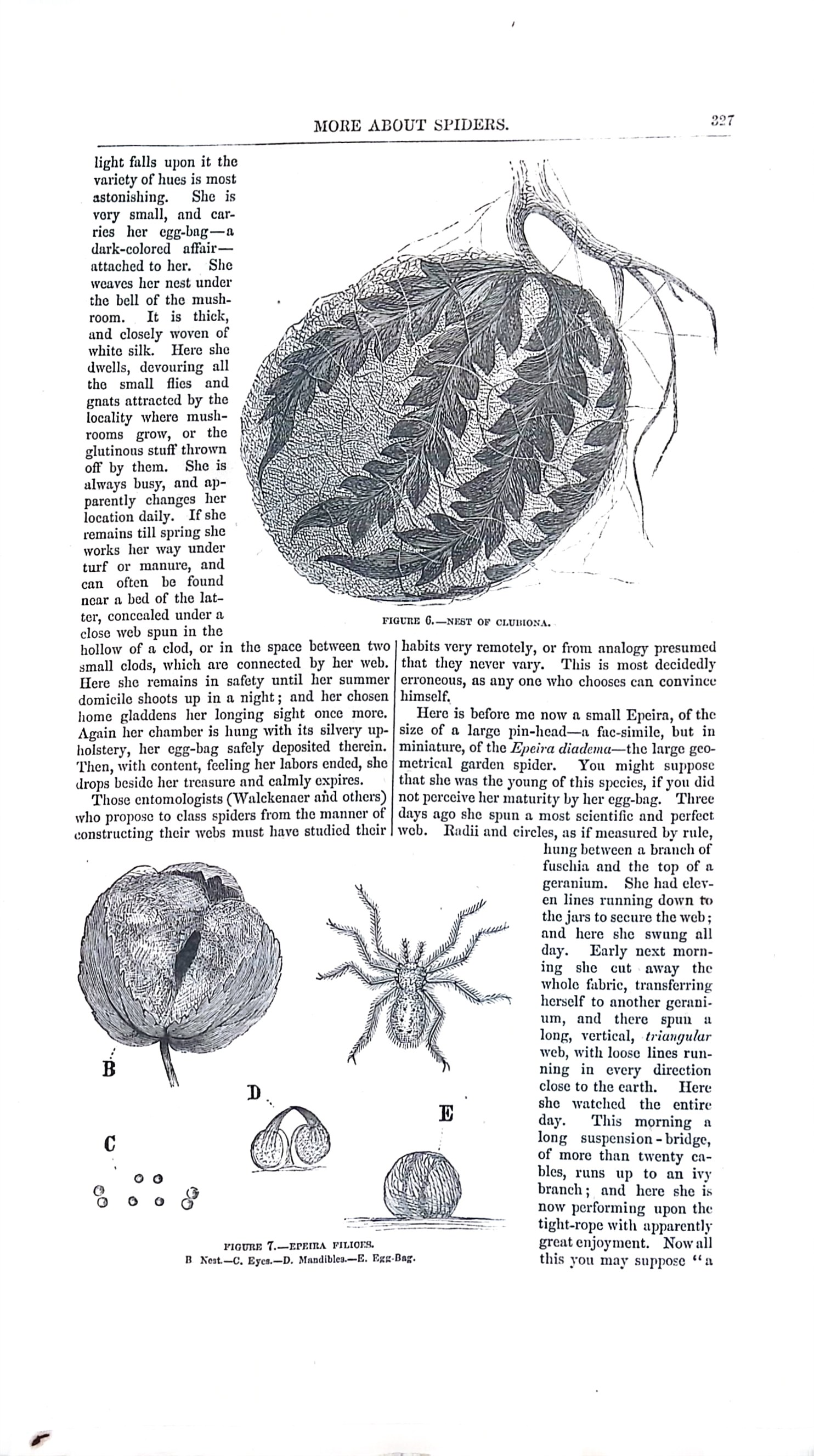 Advertisement ad0011