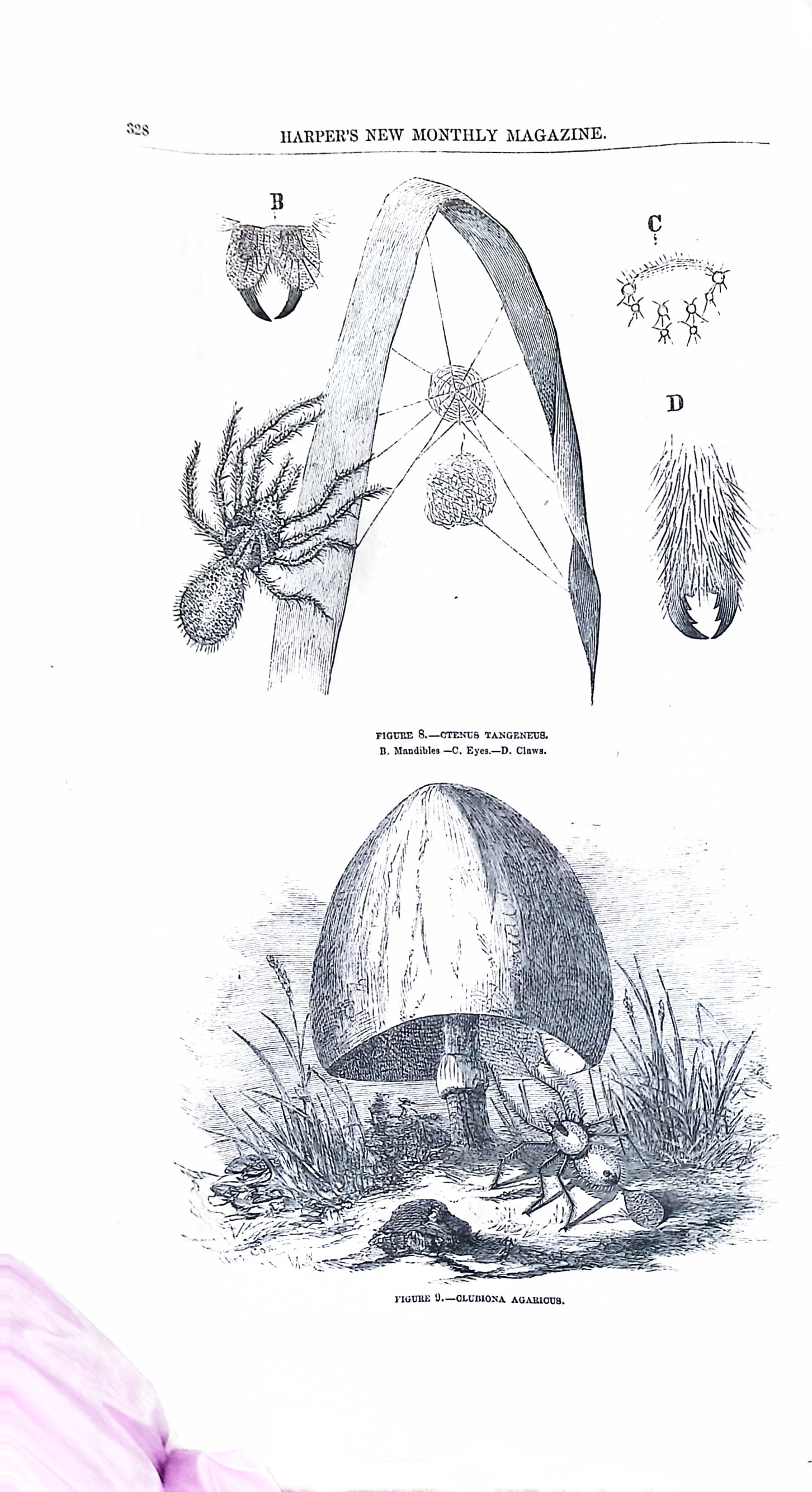 Advertisement ad0012