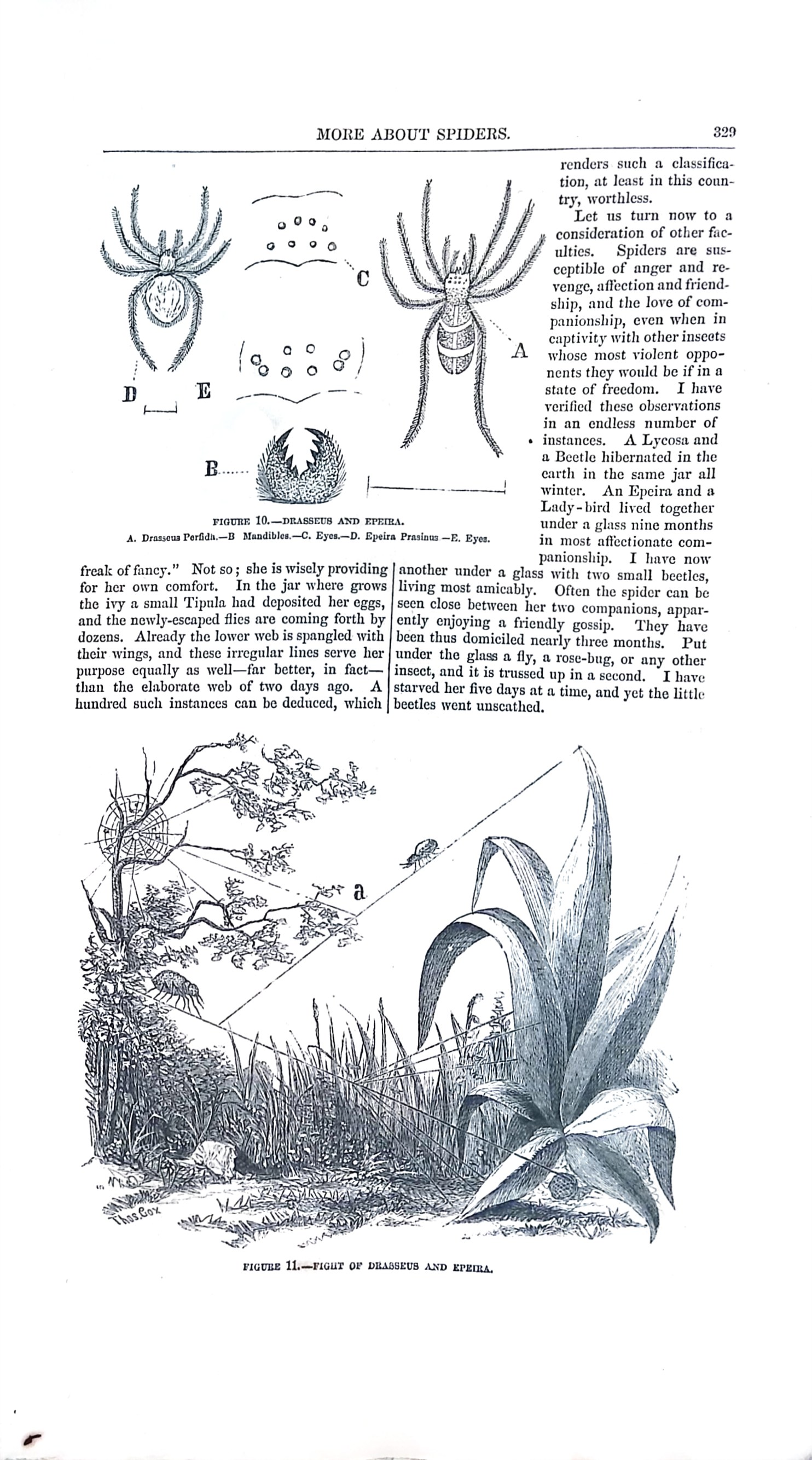 Advertisement ad0013