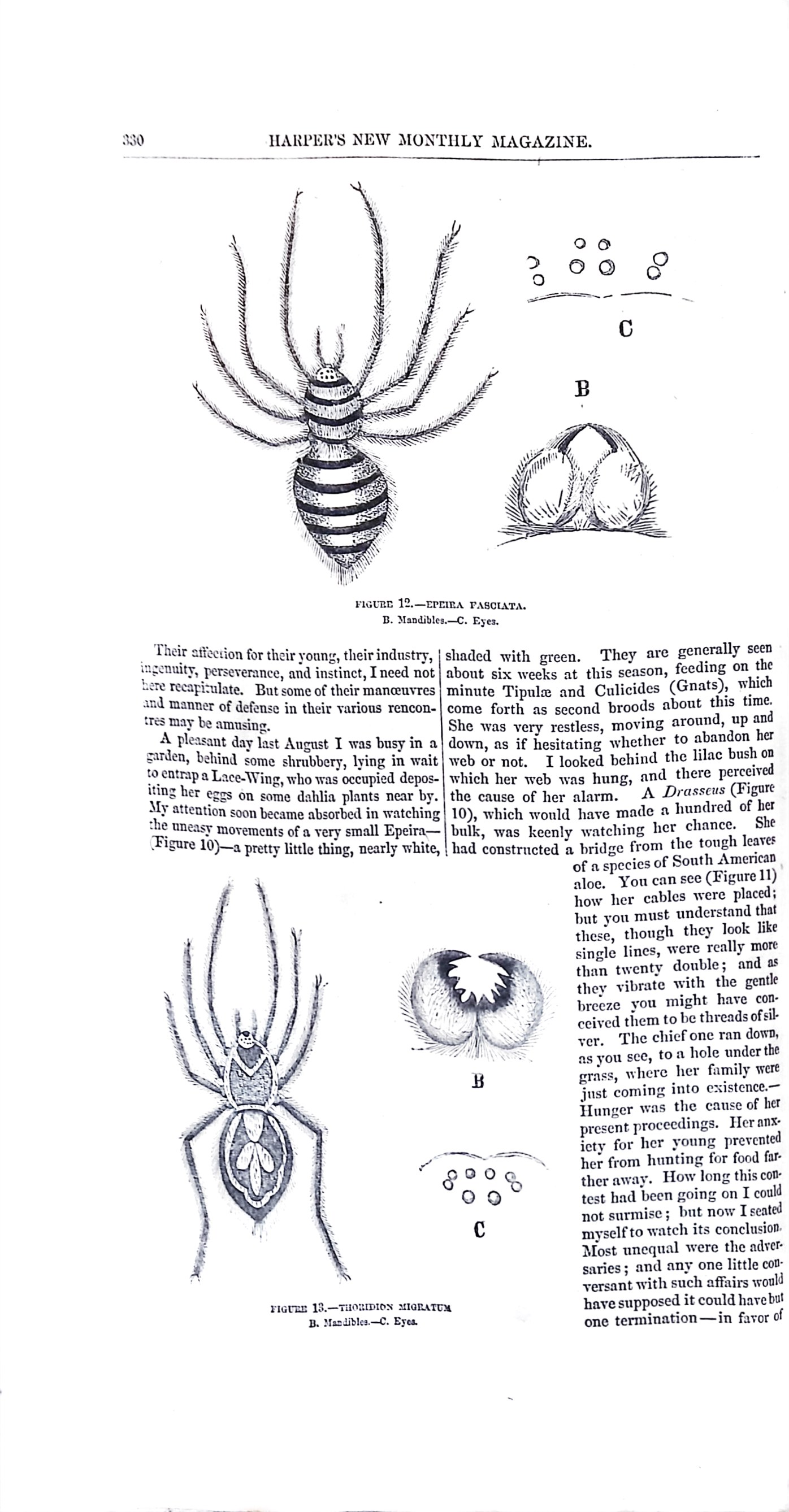 Advertisement ad0014