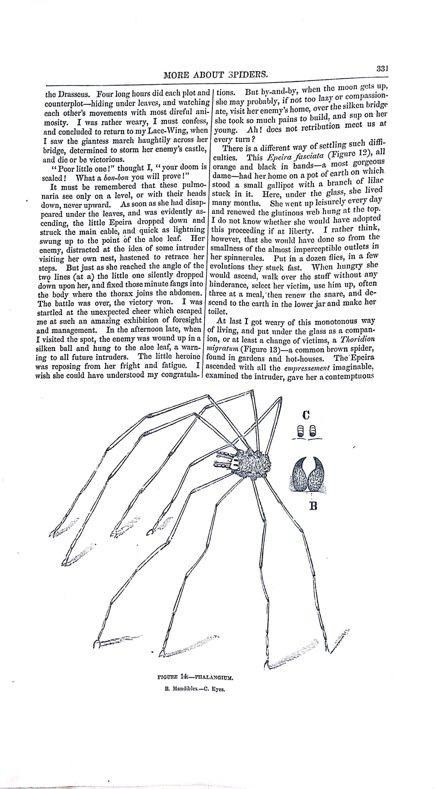 Advertisement ad0015