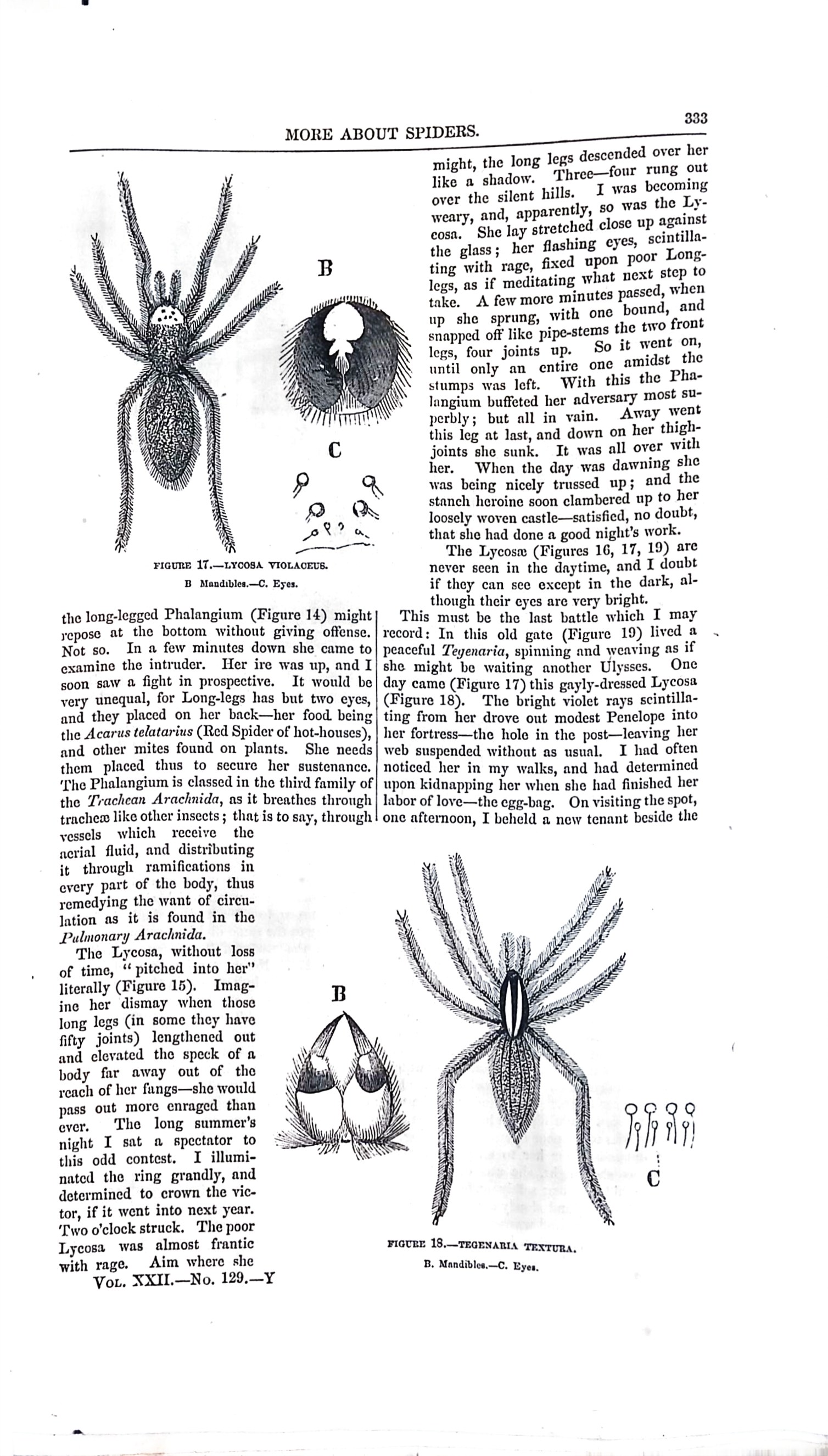 Advertisement ad0017