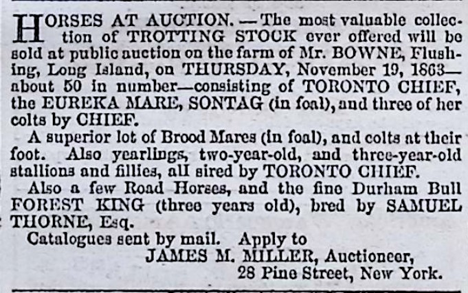 Advertisement image00013