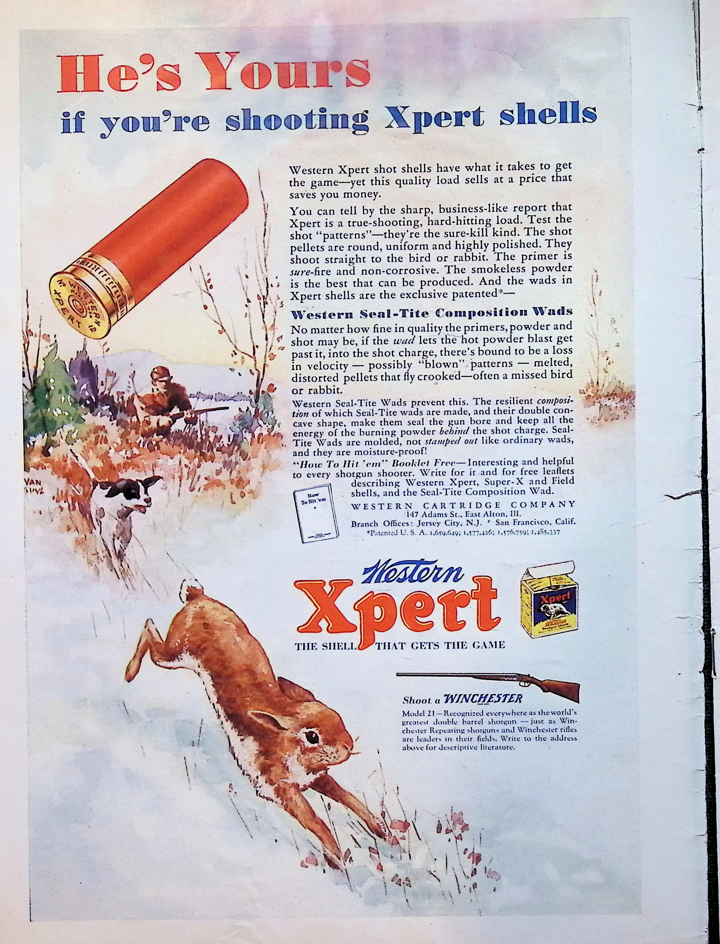Advertisement image00002