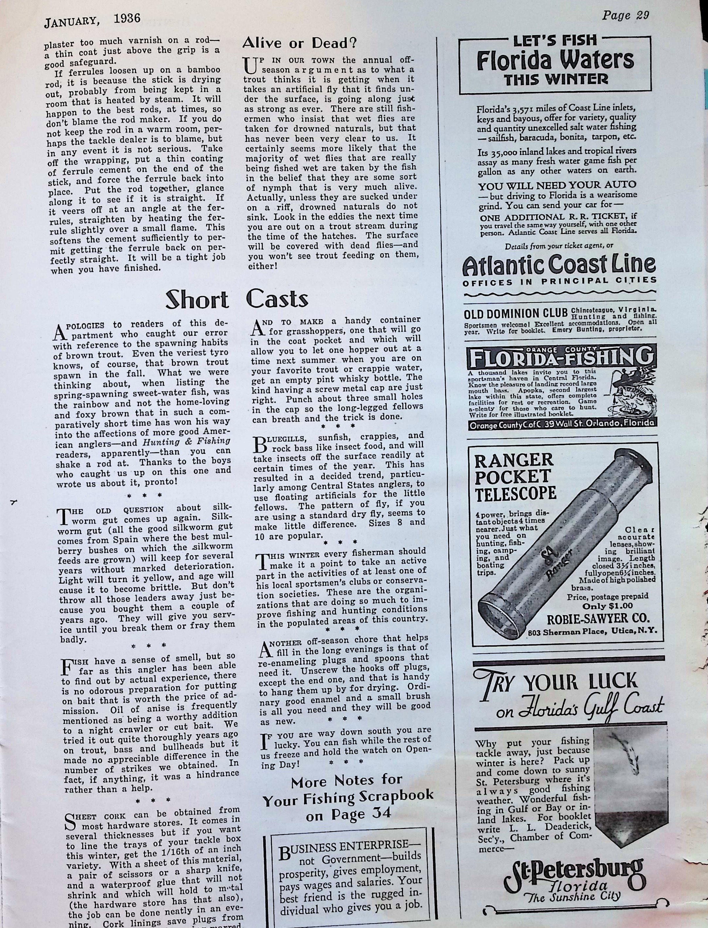 Advertisement image00208