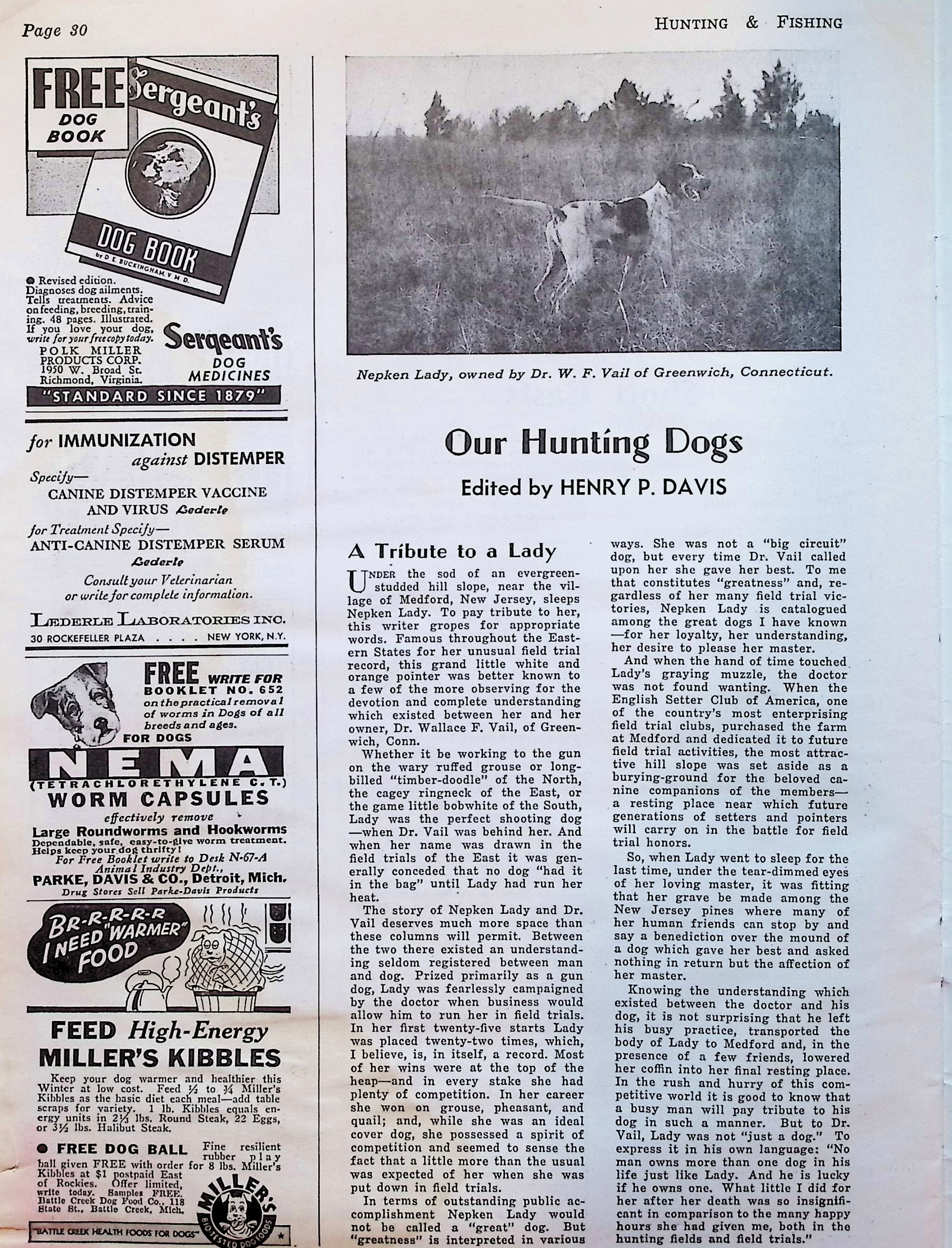 Advertisement image00209