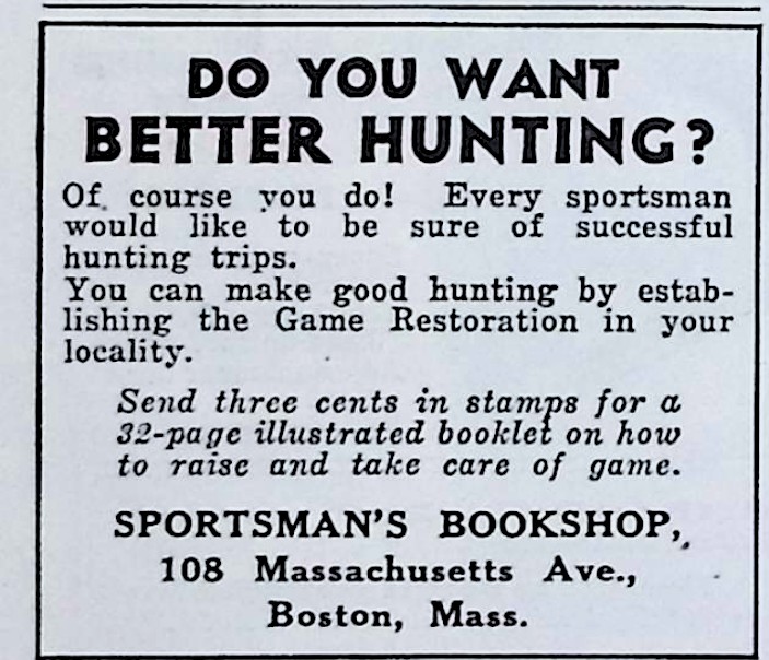 Advertisement image00014