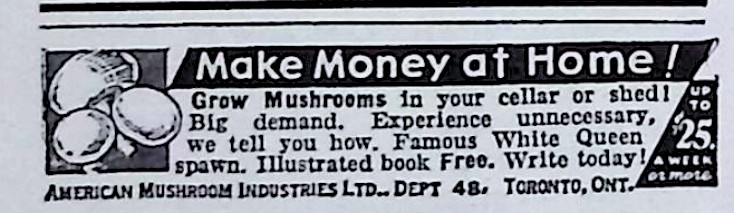 Advertisement image00022