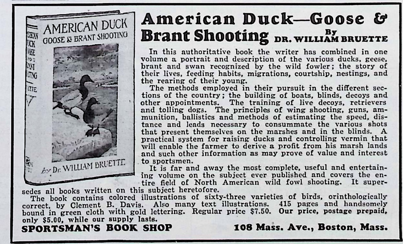 Advertisement image00029