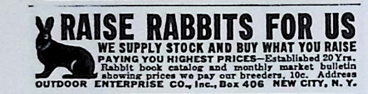 Advertisement image00050