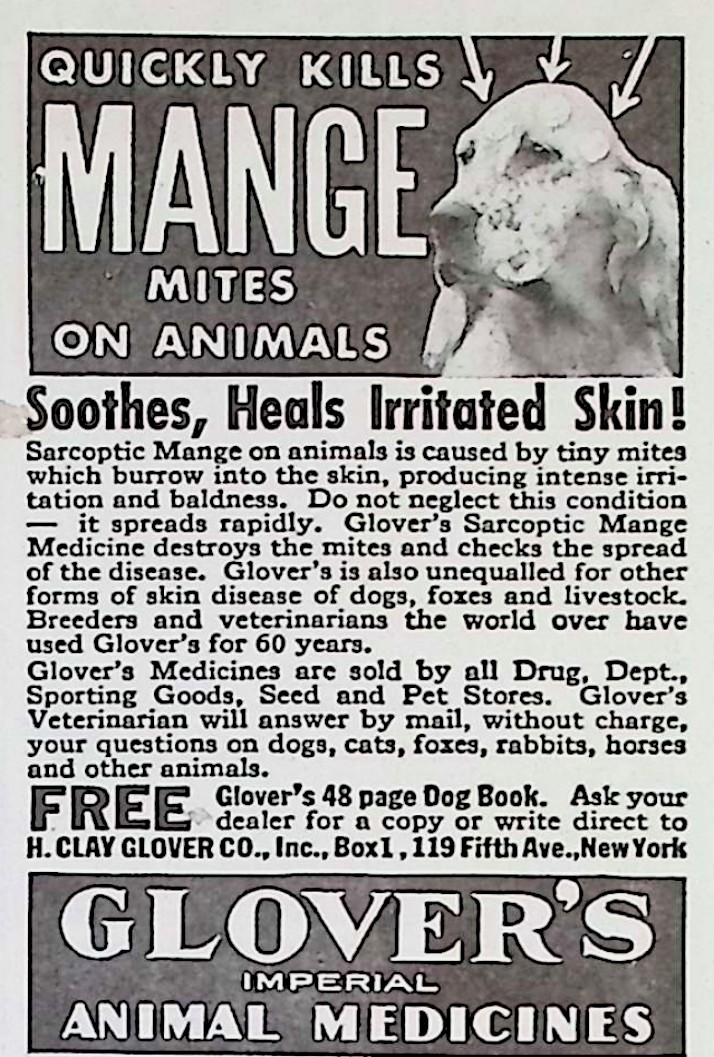 Advertisement image00054