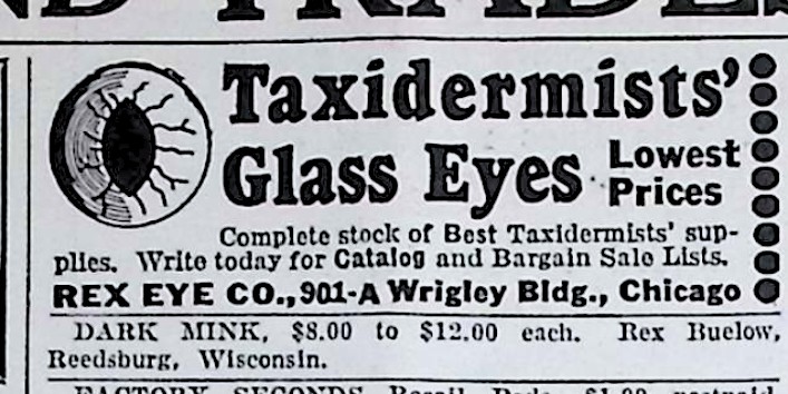 Advertisement image00059