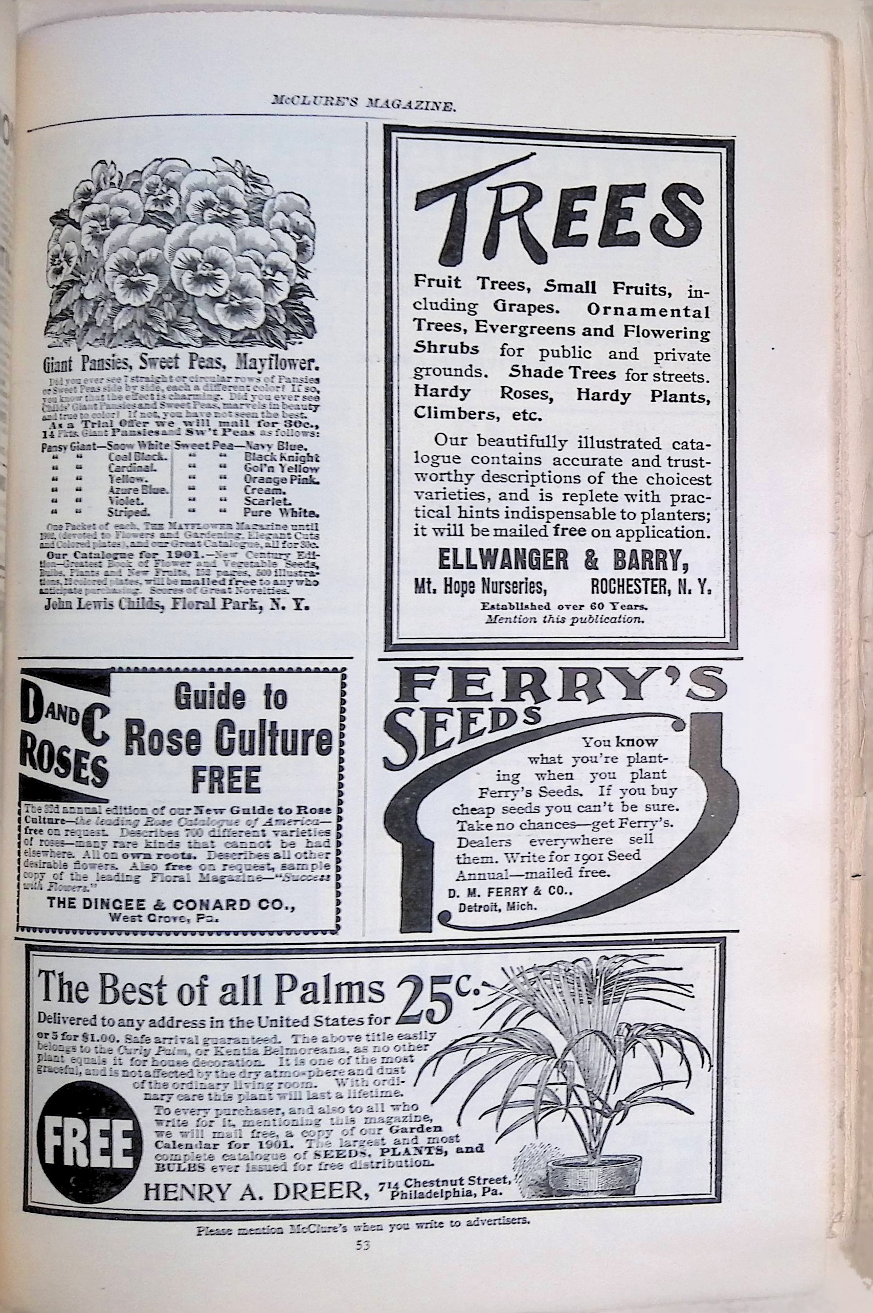 Advertisement ad0041