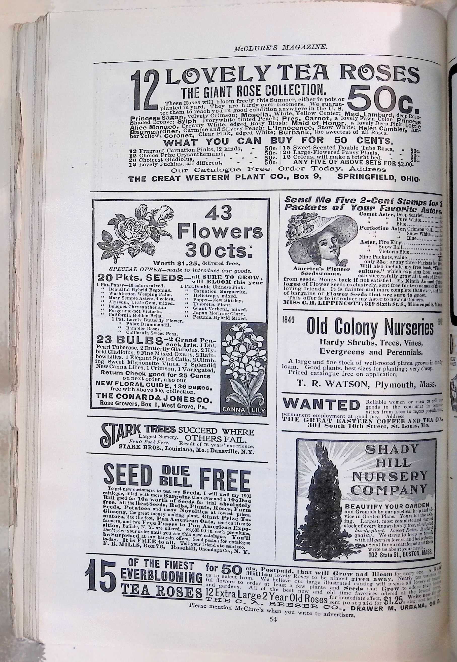Advertisement ad0042