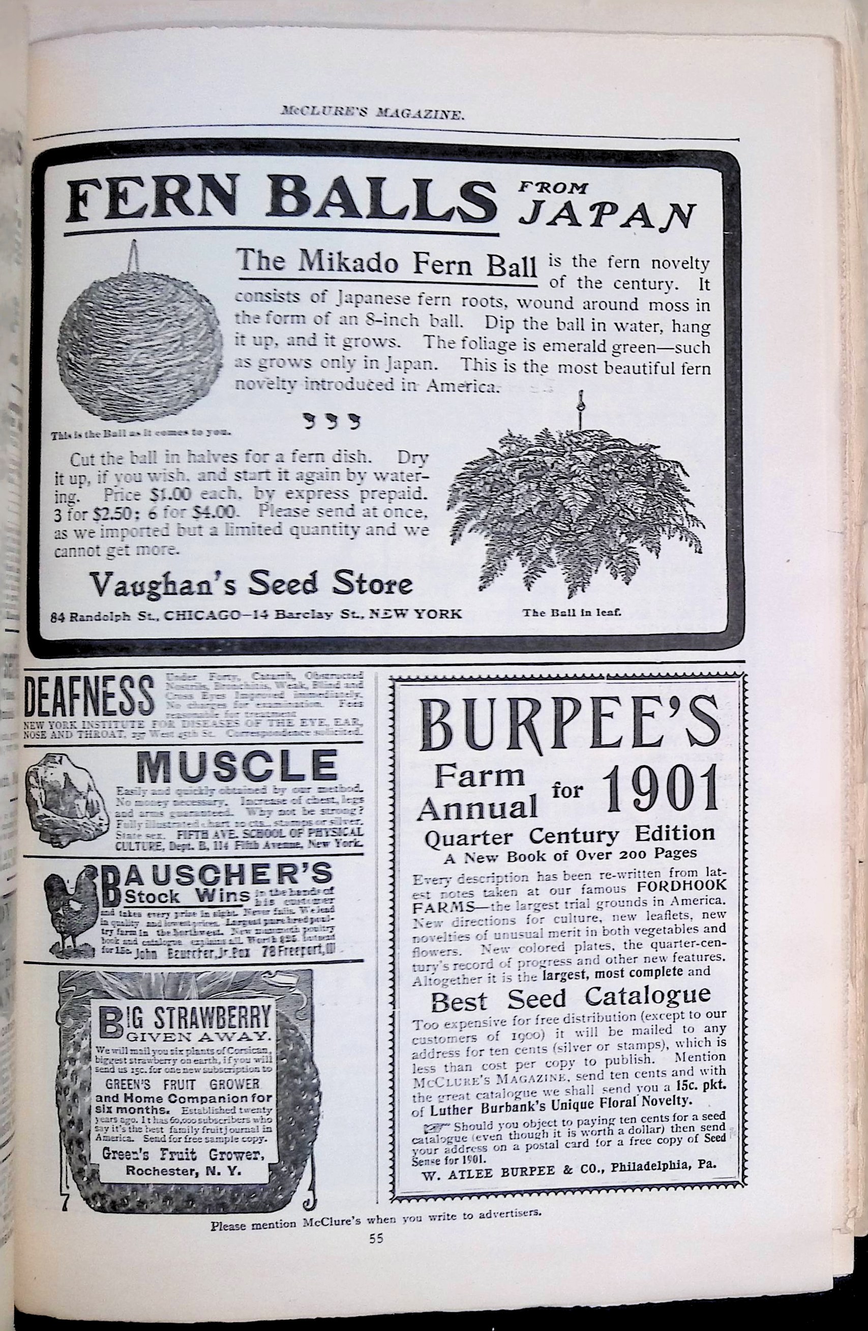 Advertisement ad0043