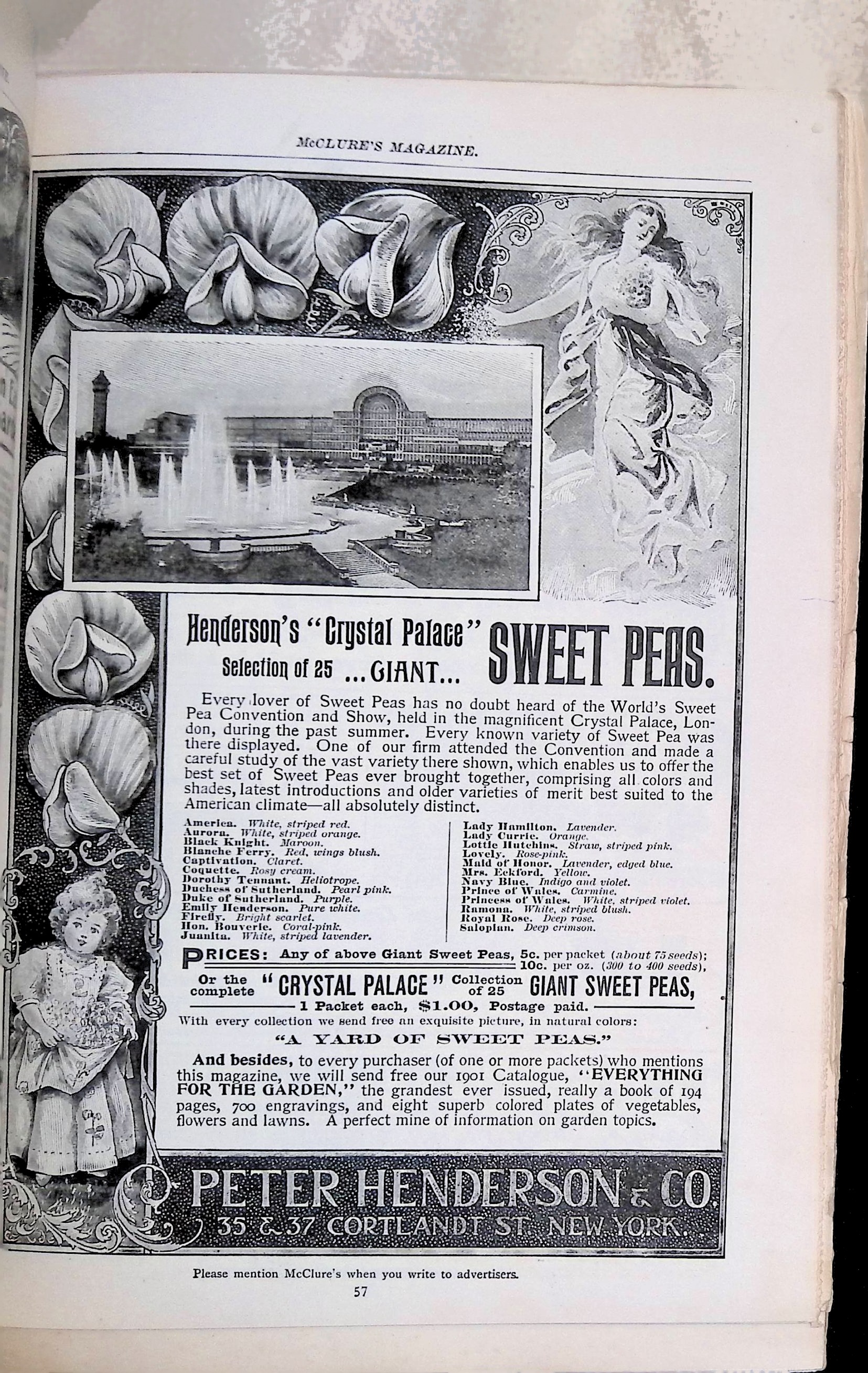 Advertisement ad0045