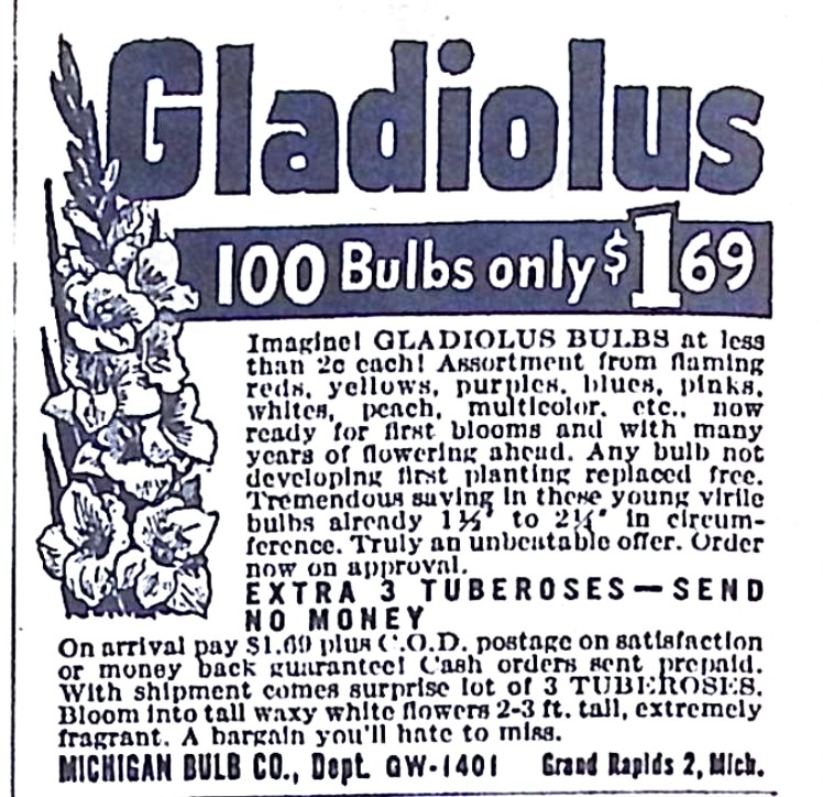 Advertisement image00143