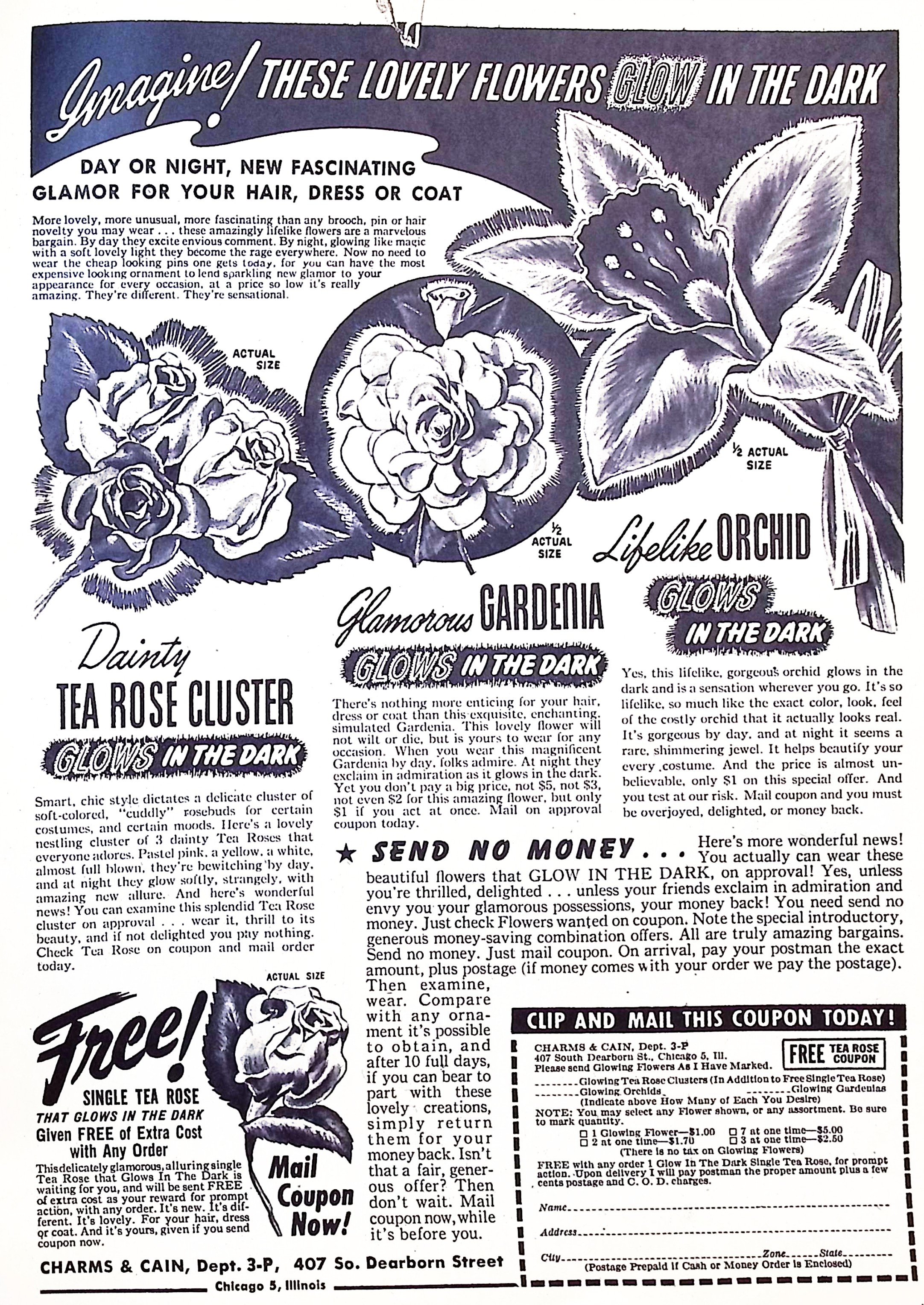 Advertisement image00032