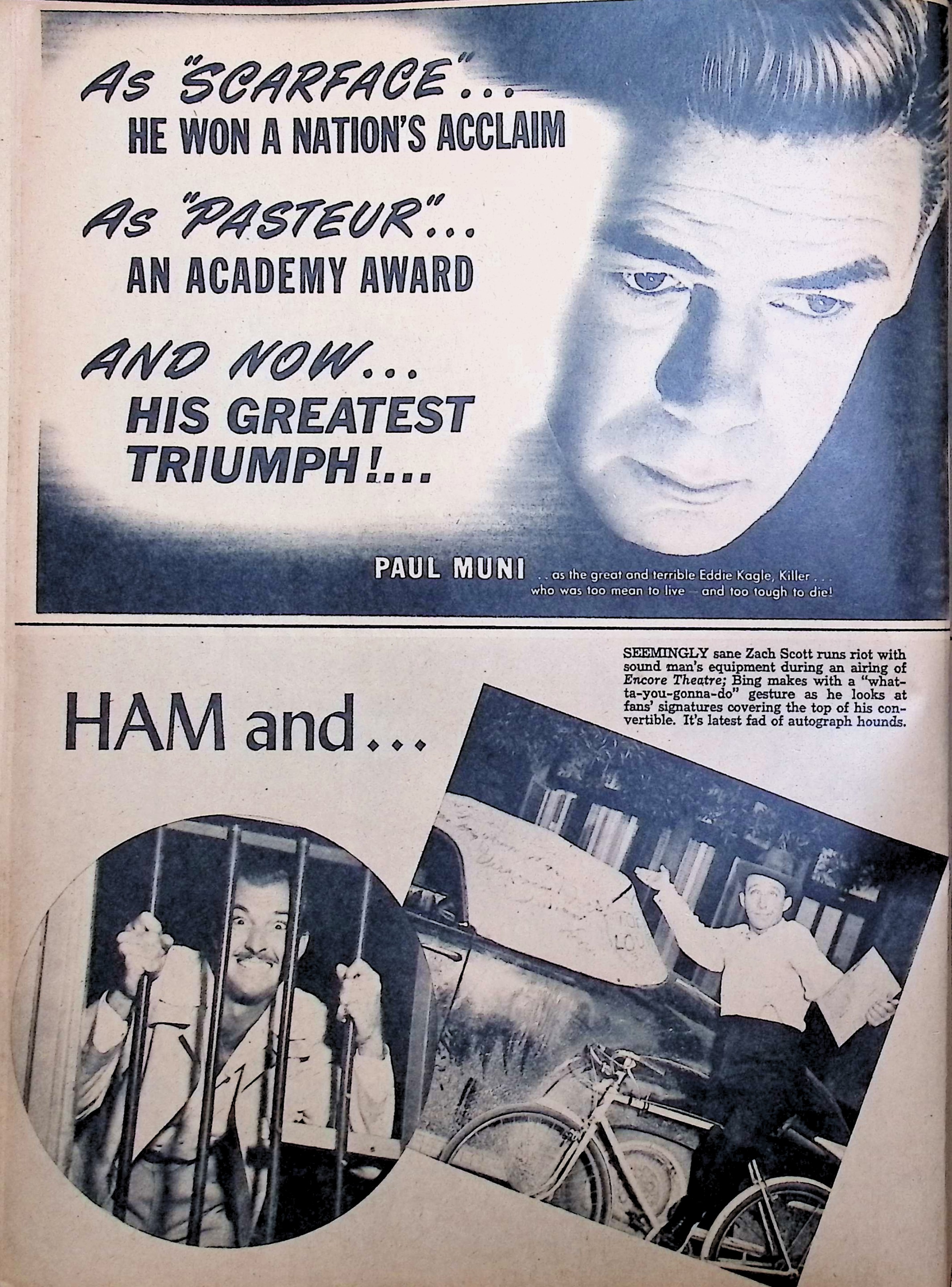 Advertisement image00011