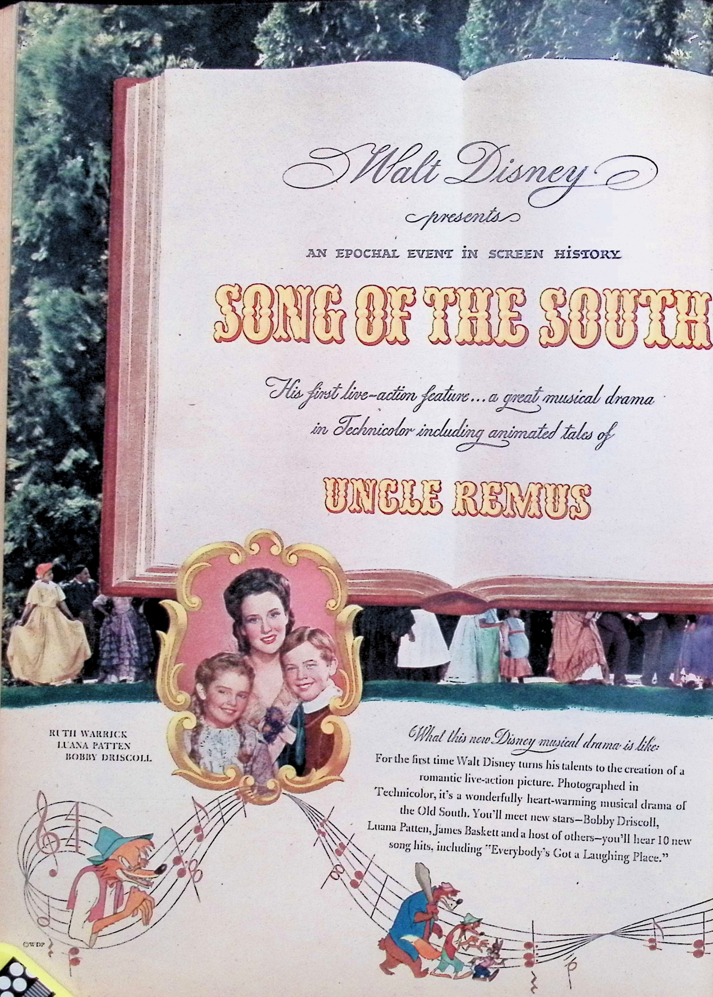 Advertisement image00026