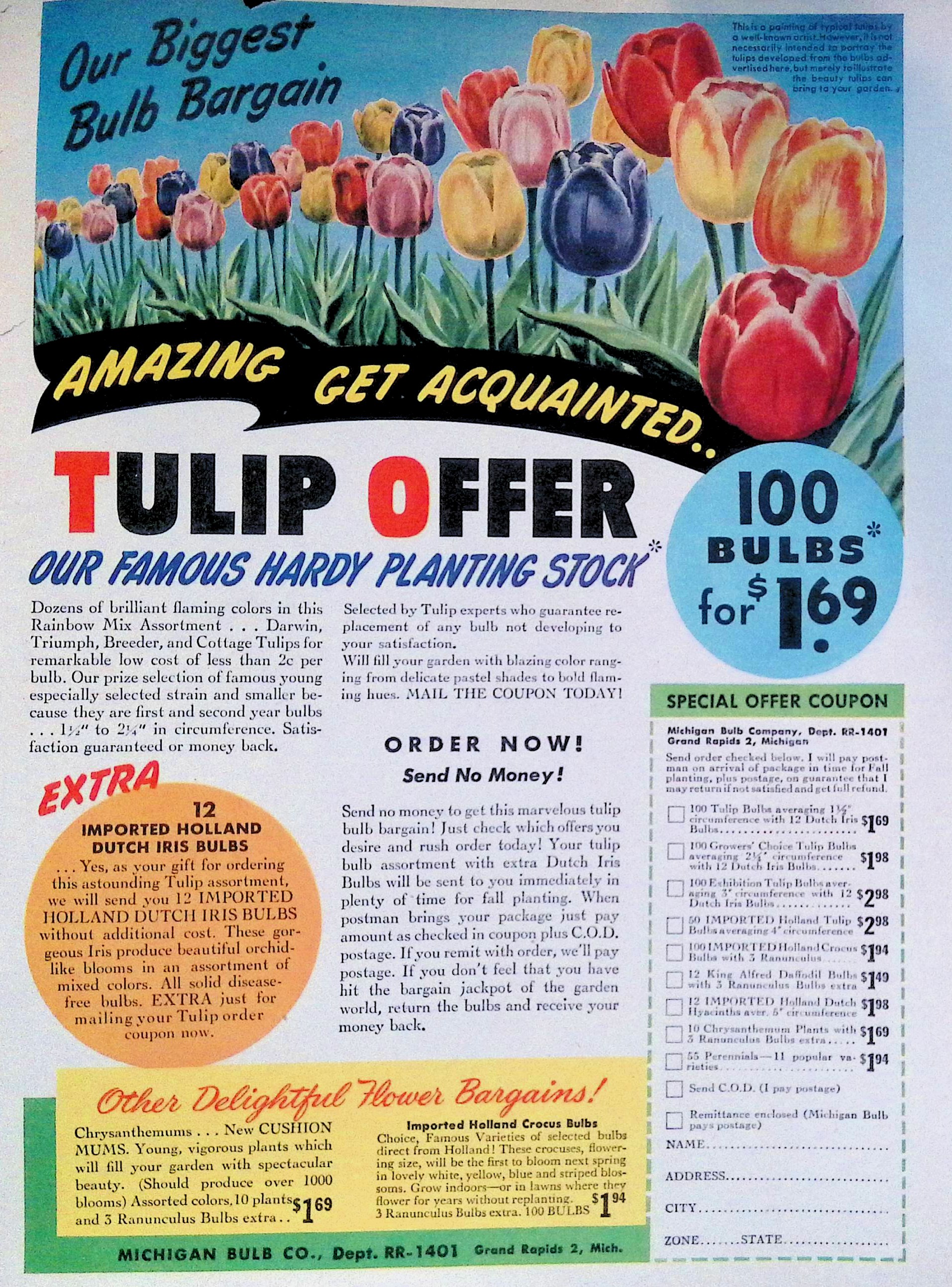 Advertisement IMG_2026_01_29_16_47_05S