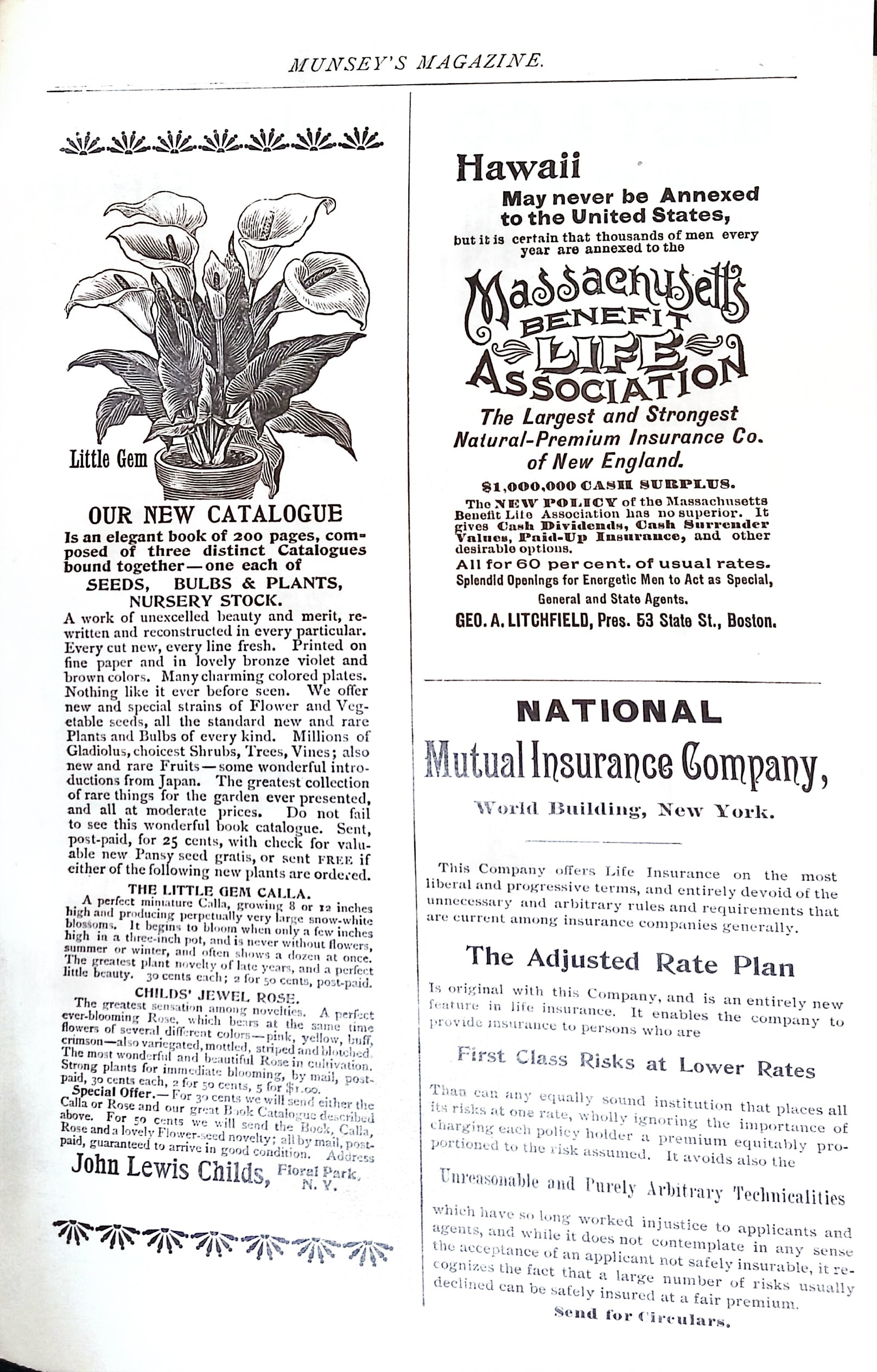 Advertisement ad0010