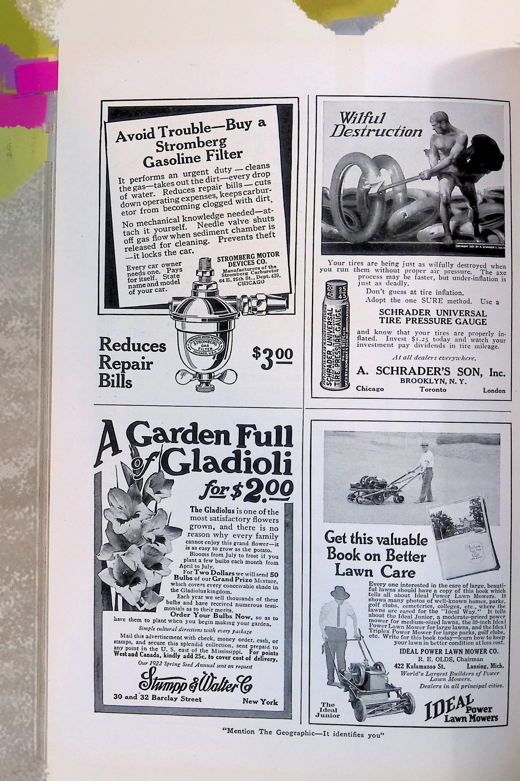 Advertisement ad0031