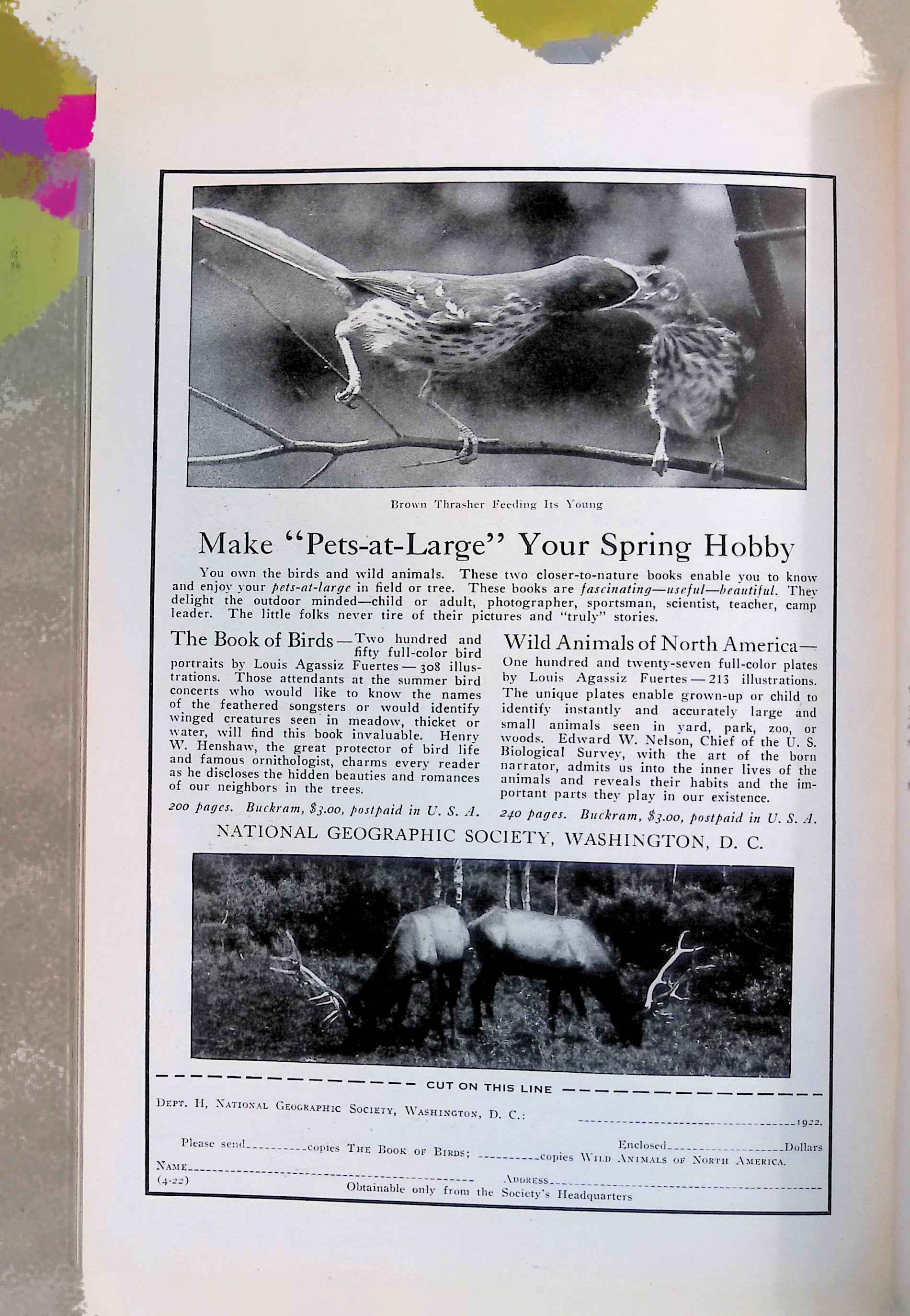 Advertisement ad0043