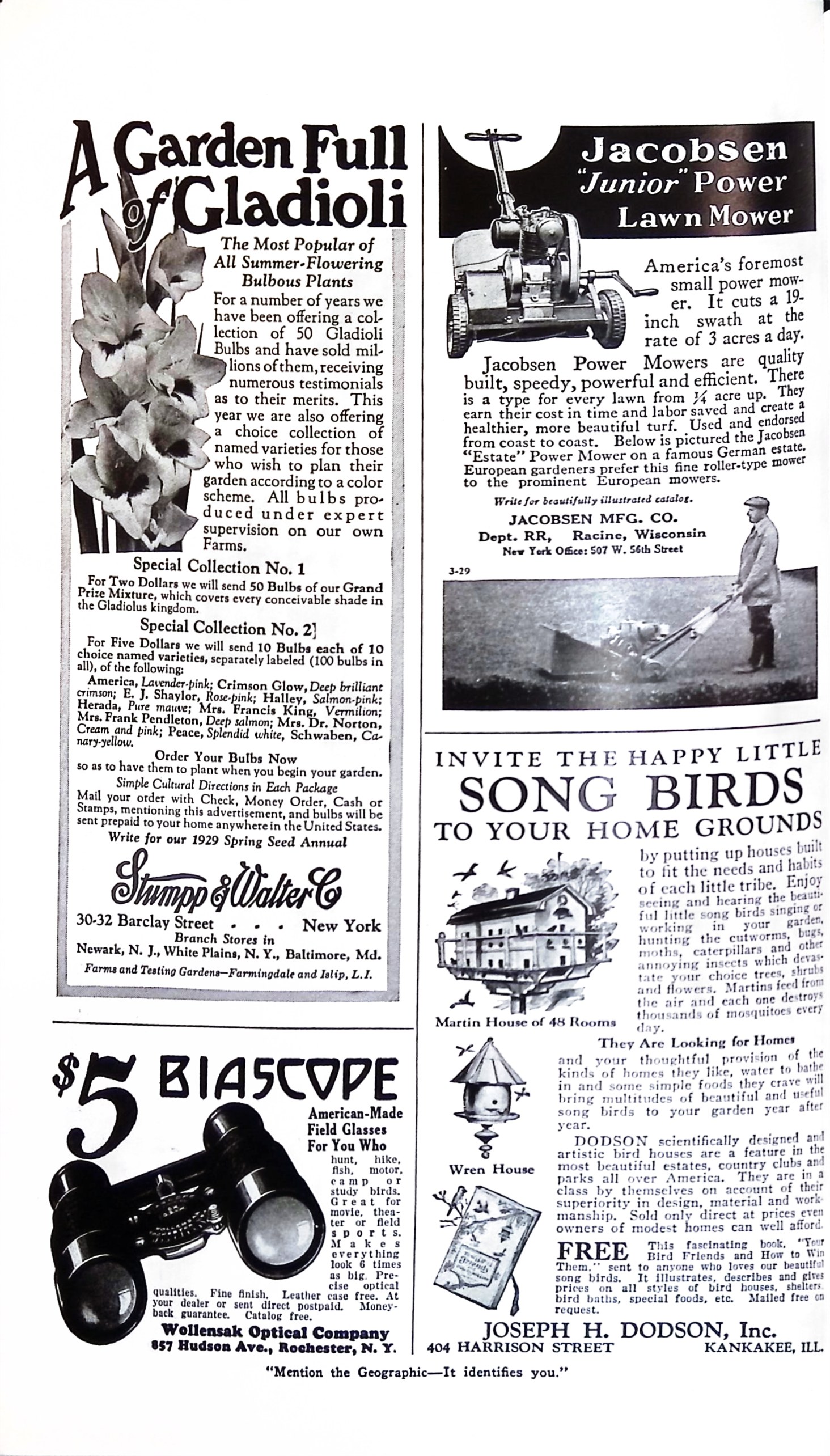 Advertisement ad0033