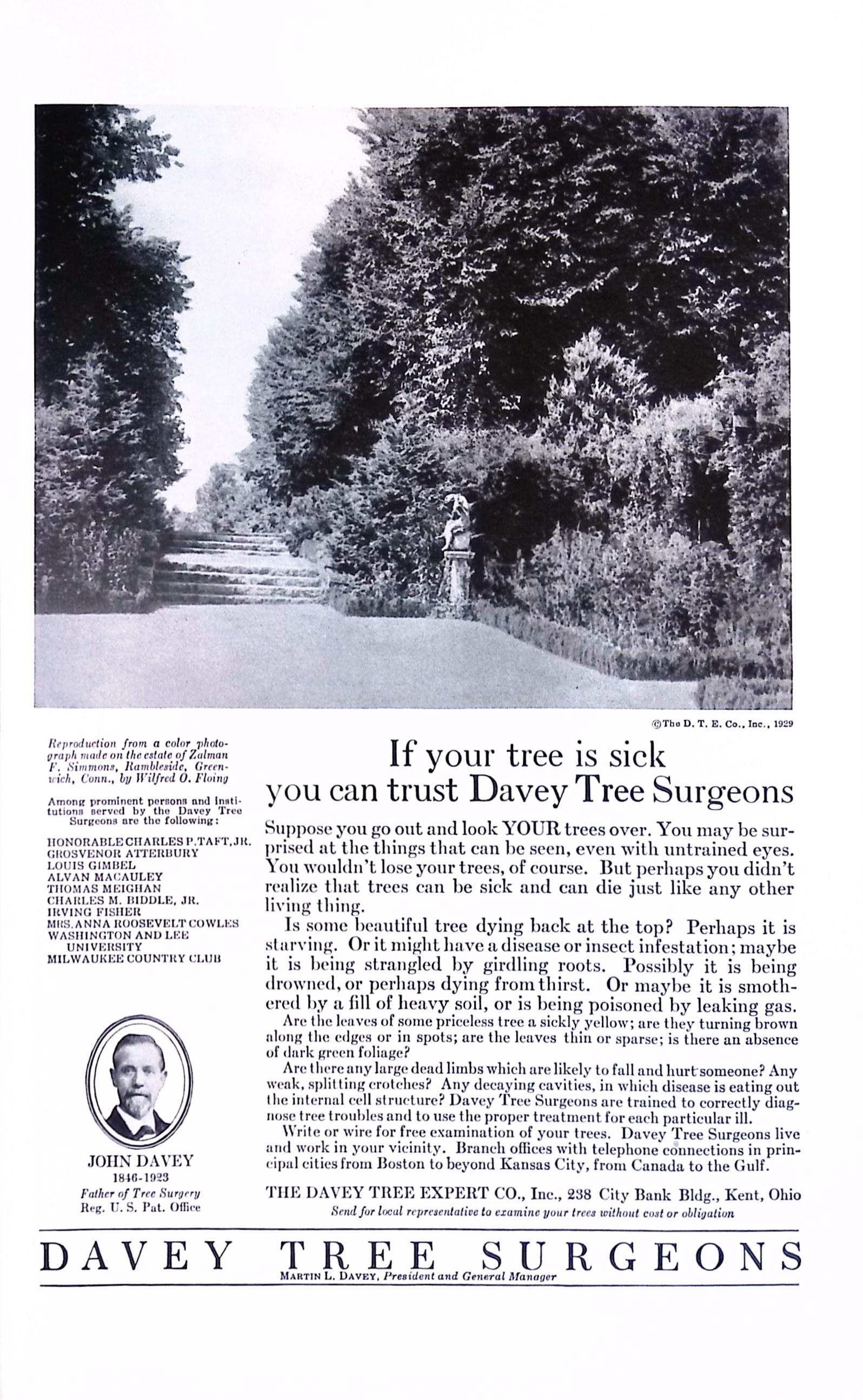 Advertisement ad0036