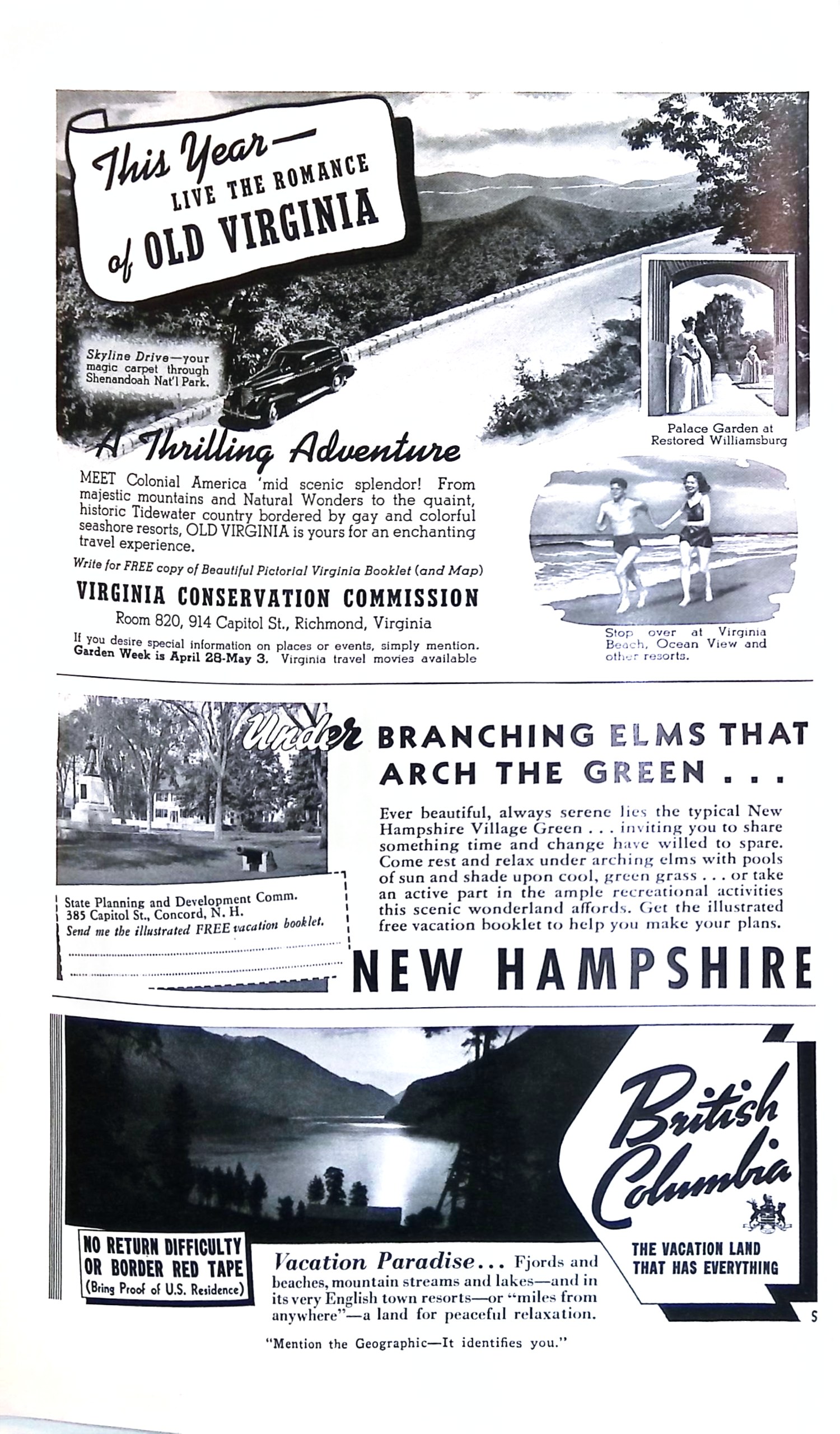 Advertisement ad0020