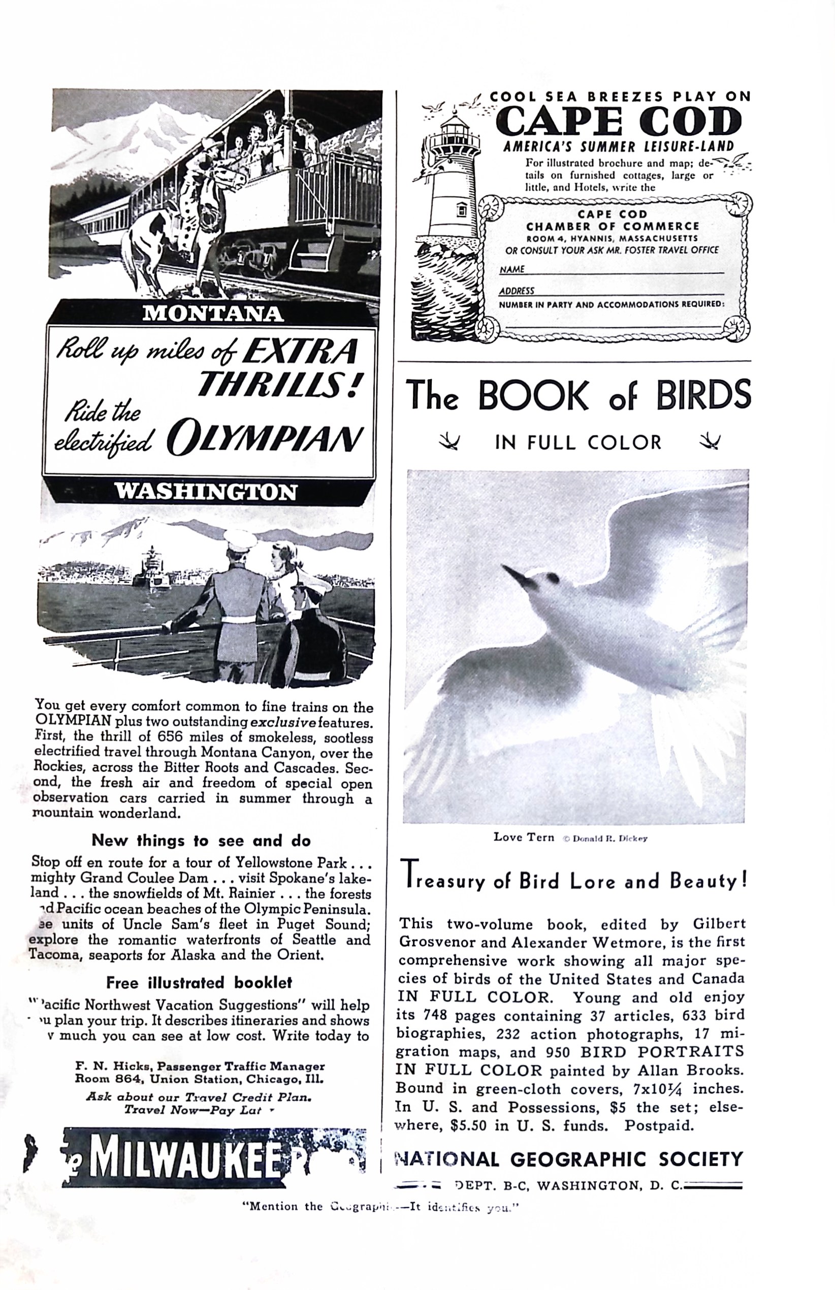 Advertisement ad0027