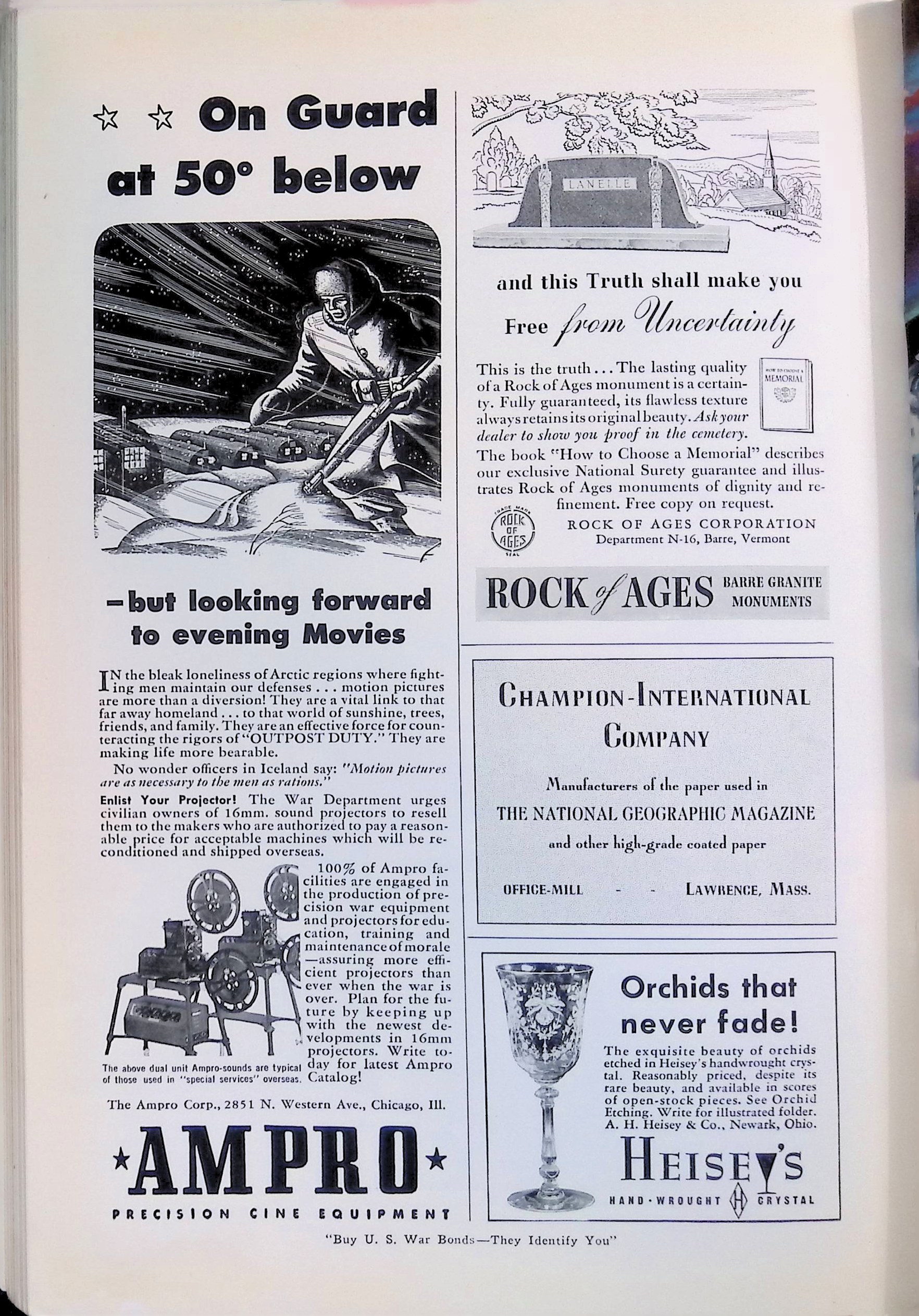 Advertisement ad0024