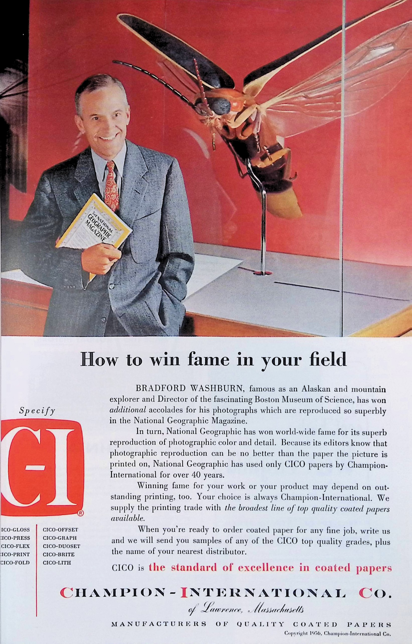 Advertisement ad0041