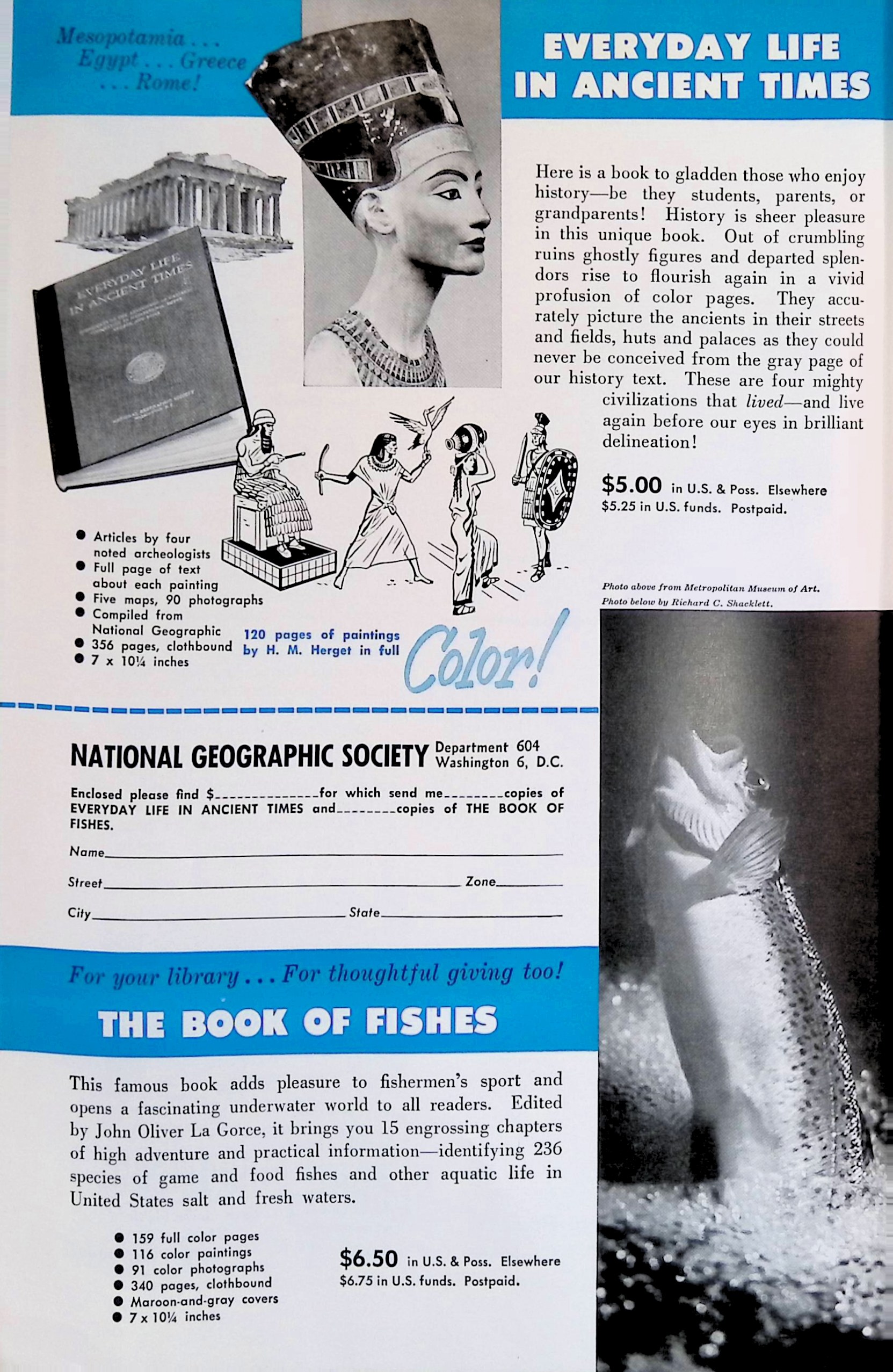 Advertisement ad0060