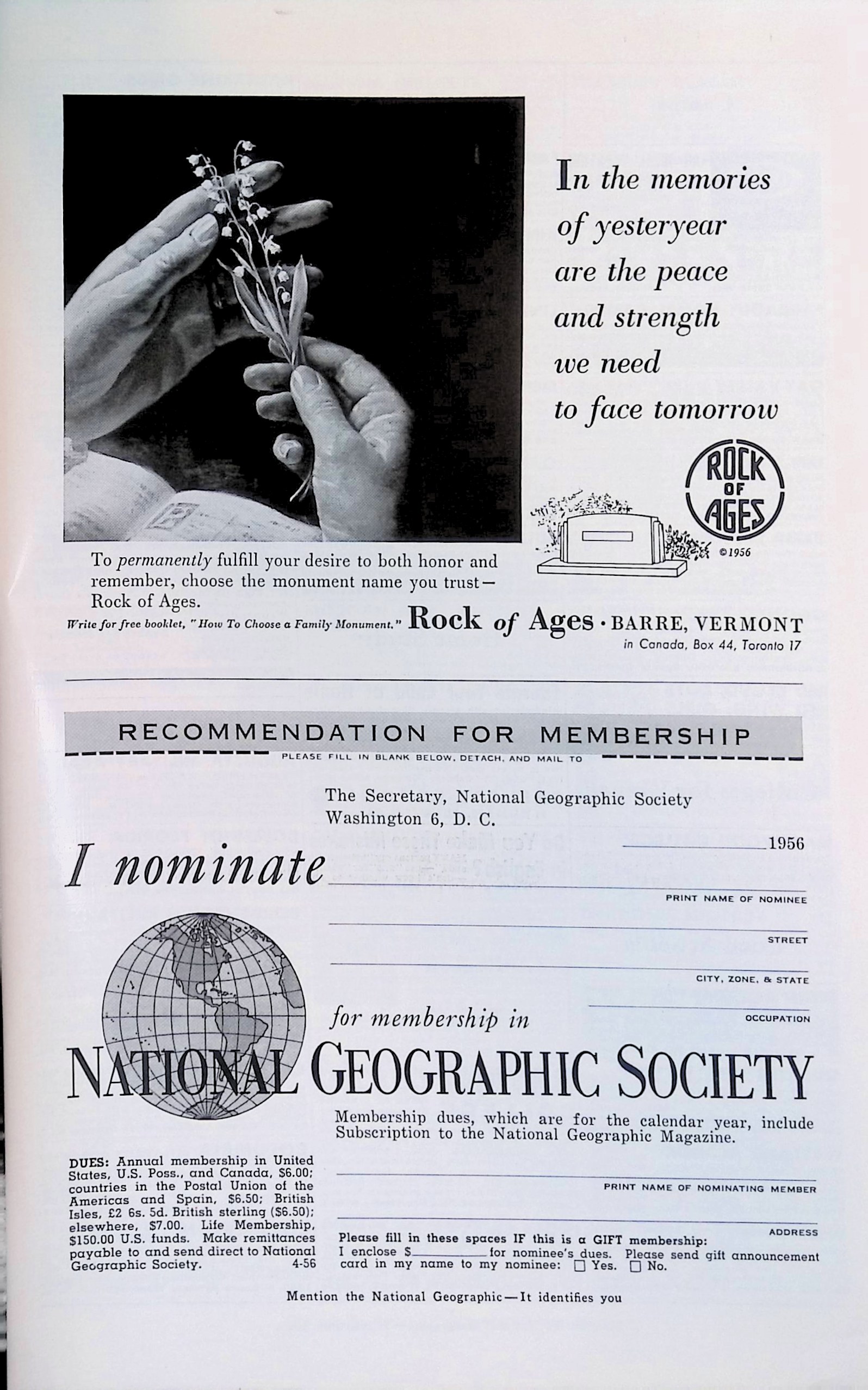 Advertisement ad0061