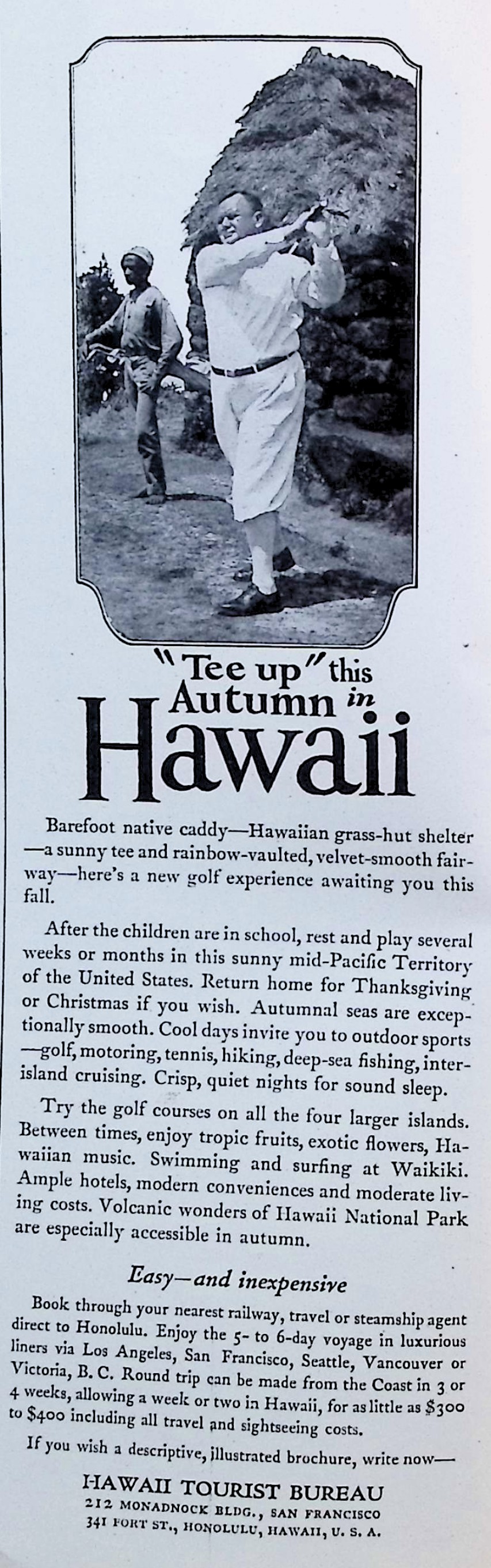 Advertisement image00013