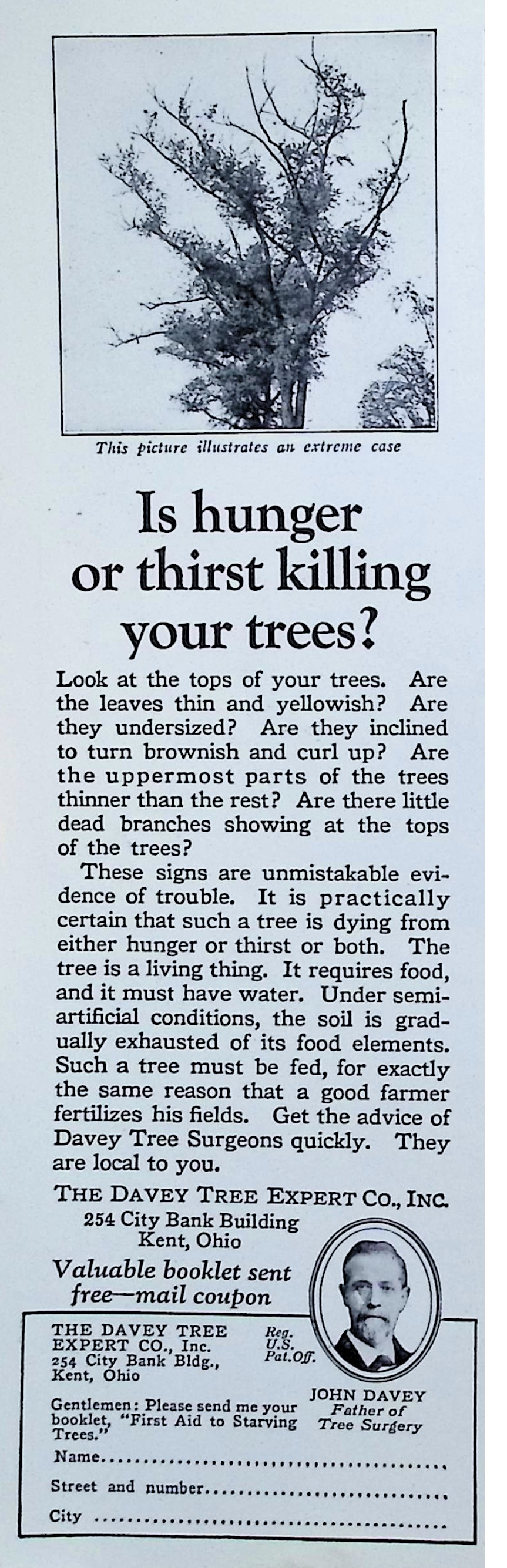 Advertisement image00015