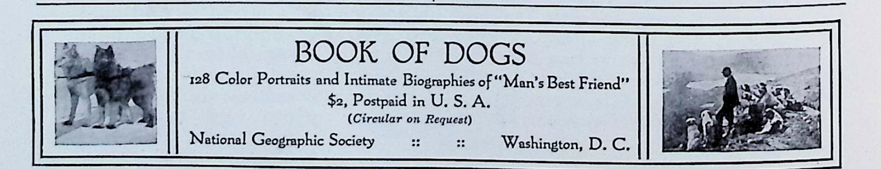 Advertisement image00049