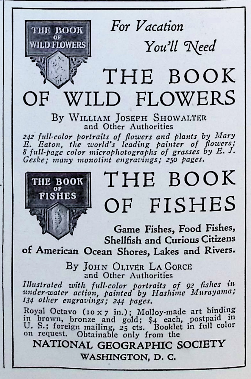 Advertisement image00054