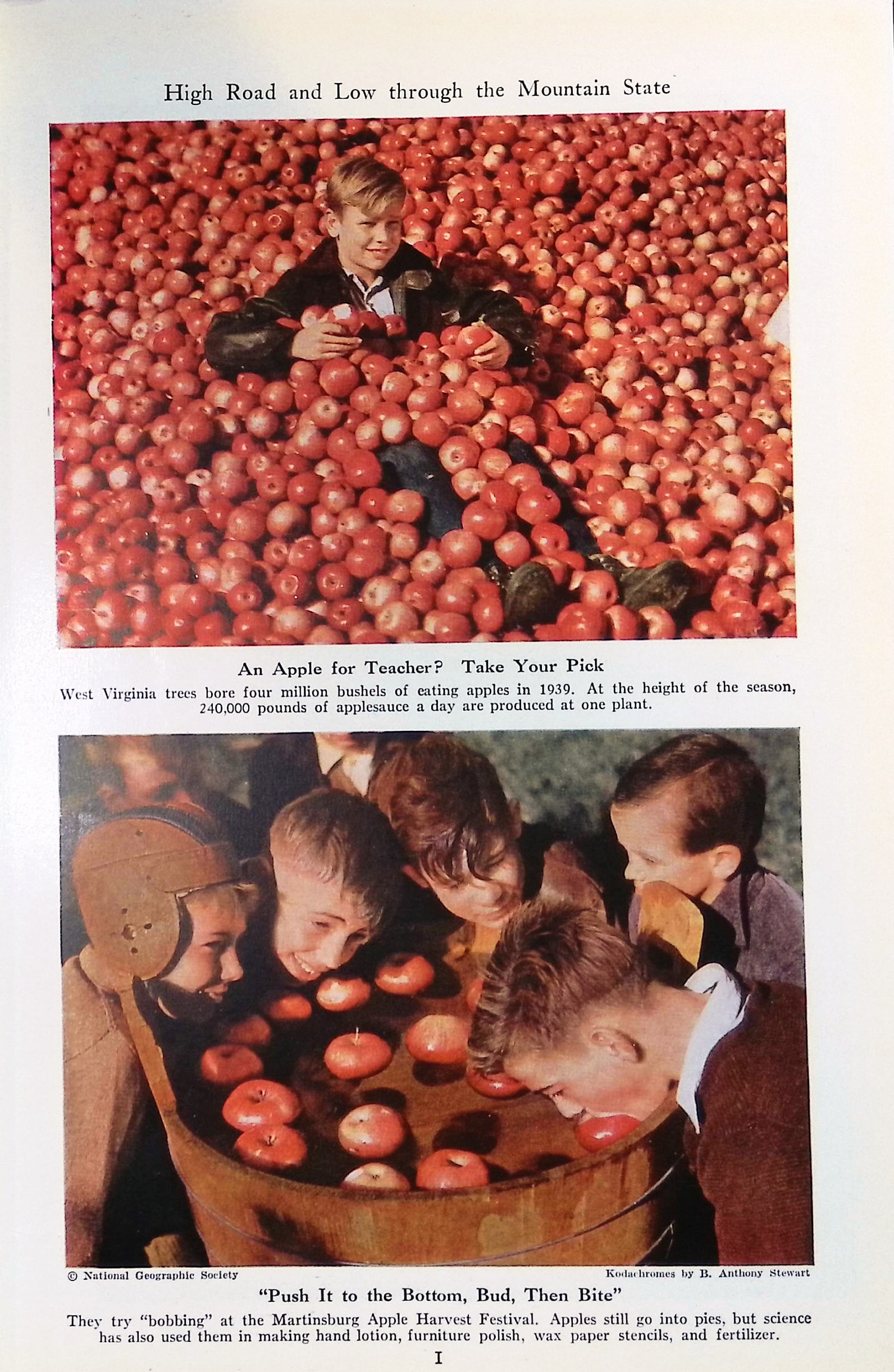 Advertisement ad0014