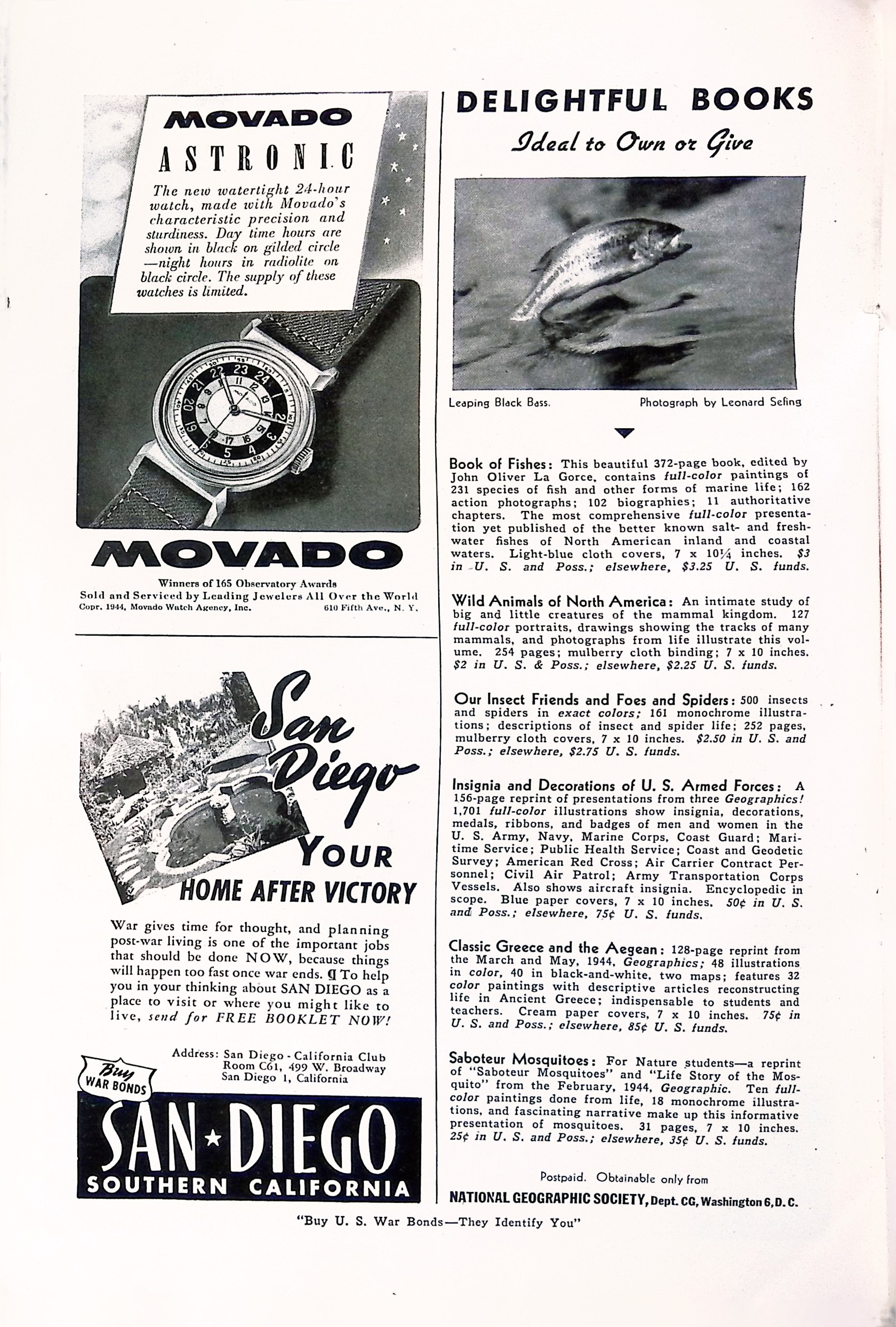 Advertisement ad0015