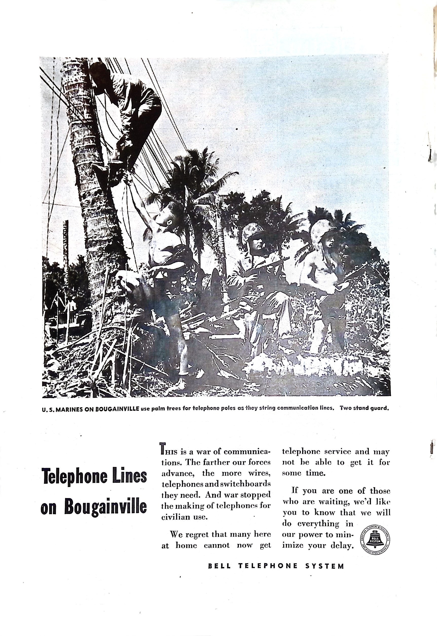 Advertisement ad0019
