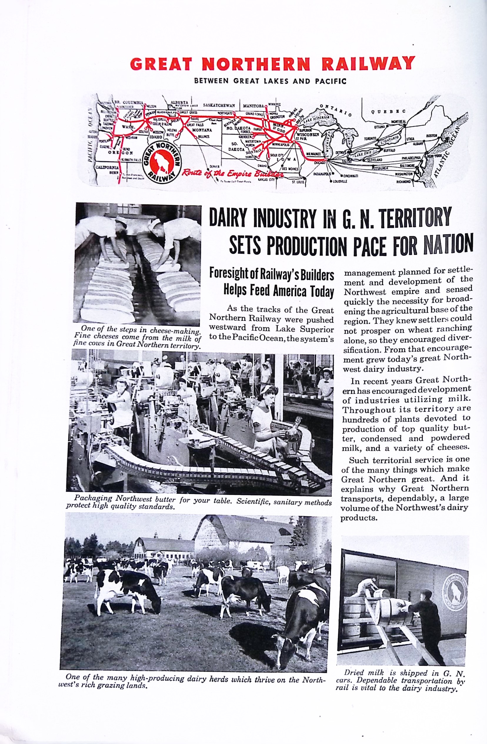 Advertisement ad0036
