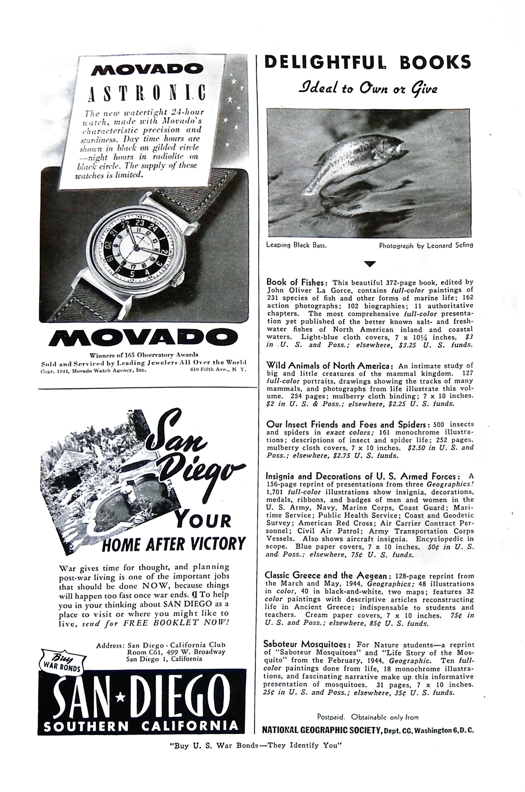 Advertisement ad0049