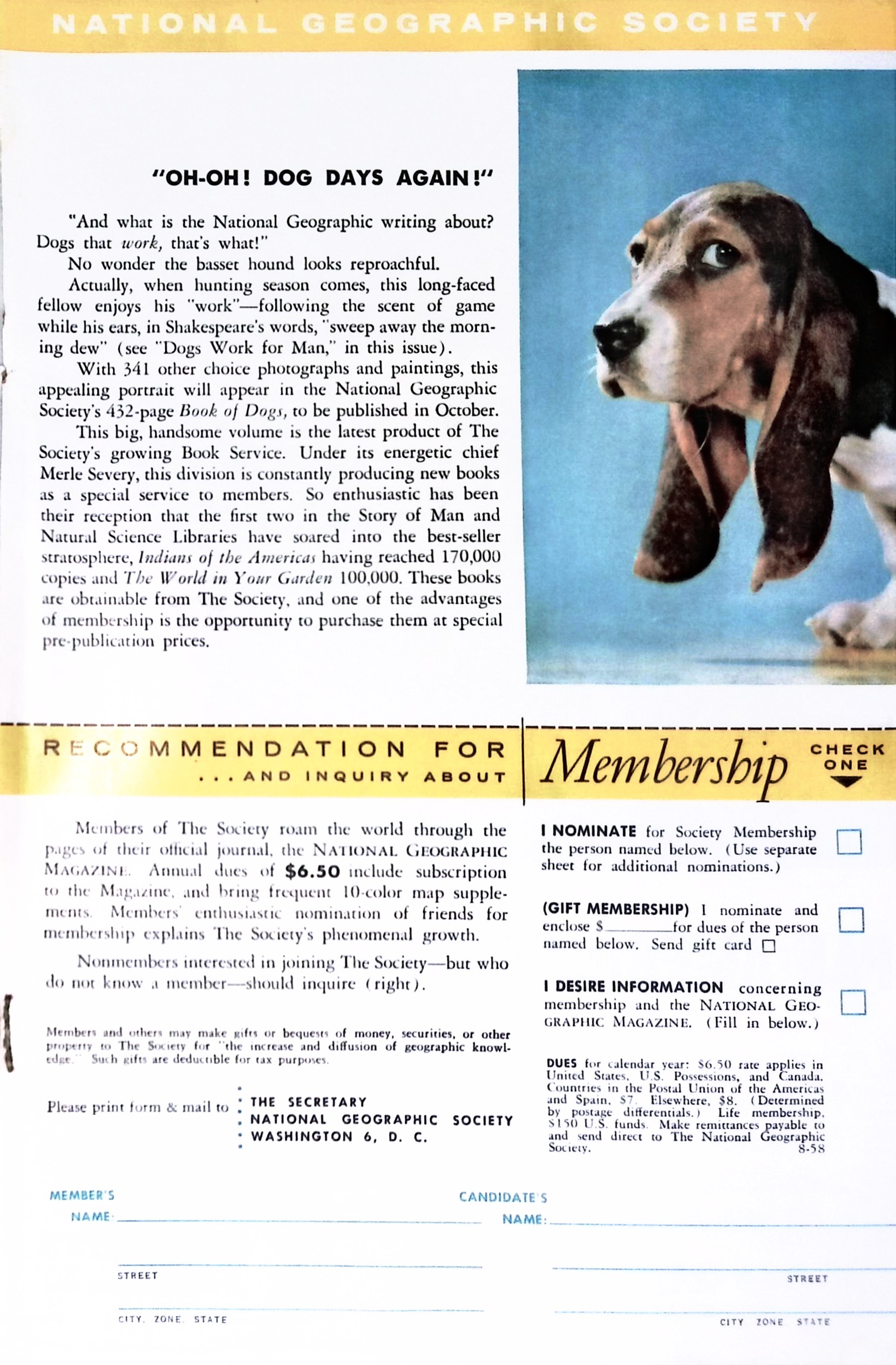 Advertisement ad0005
