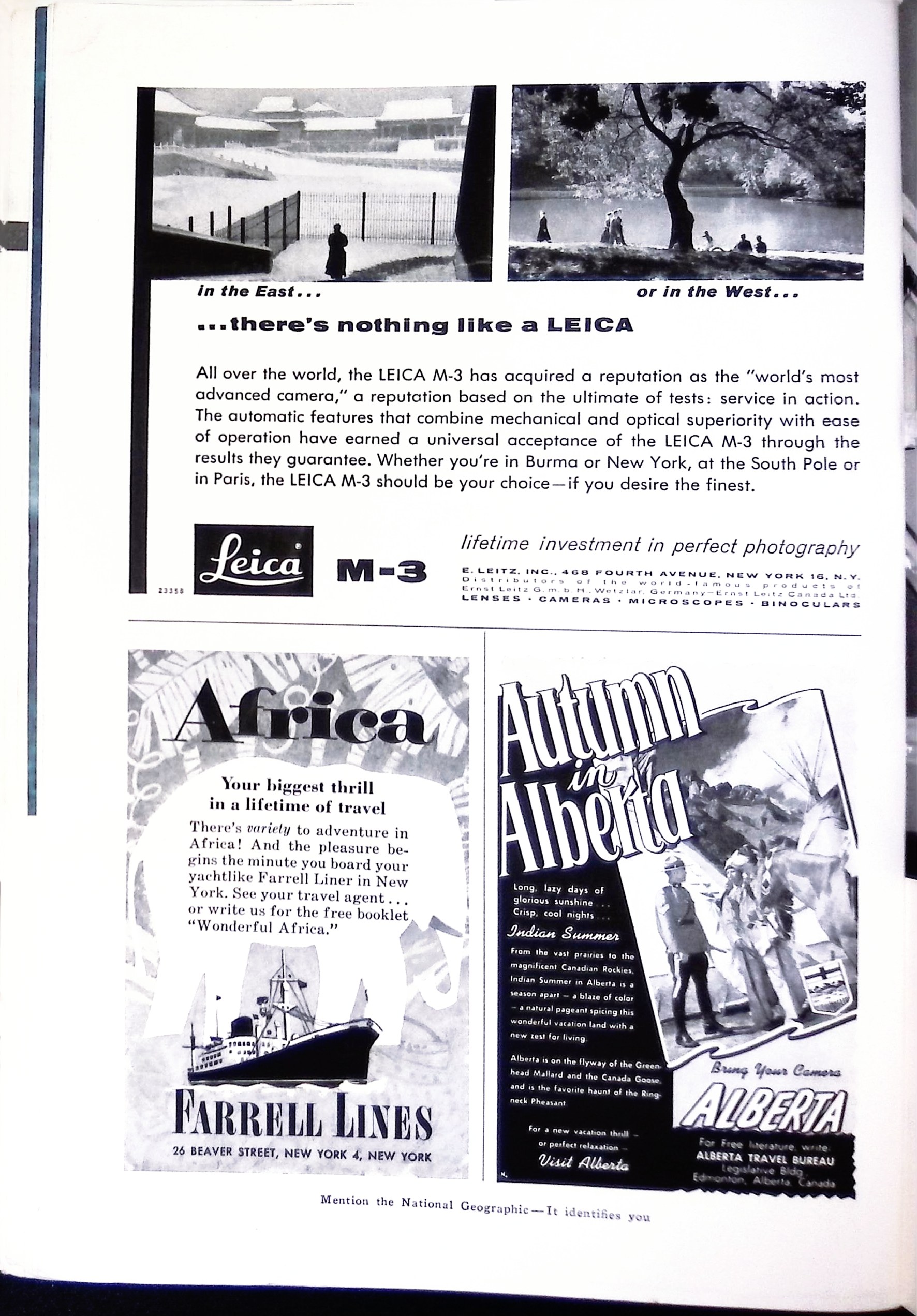 Advertisement ad0012