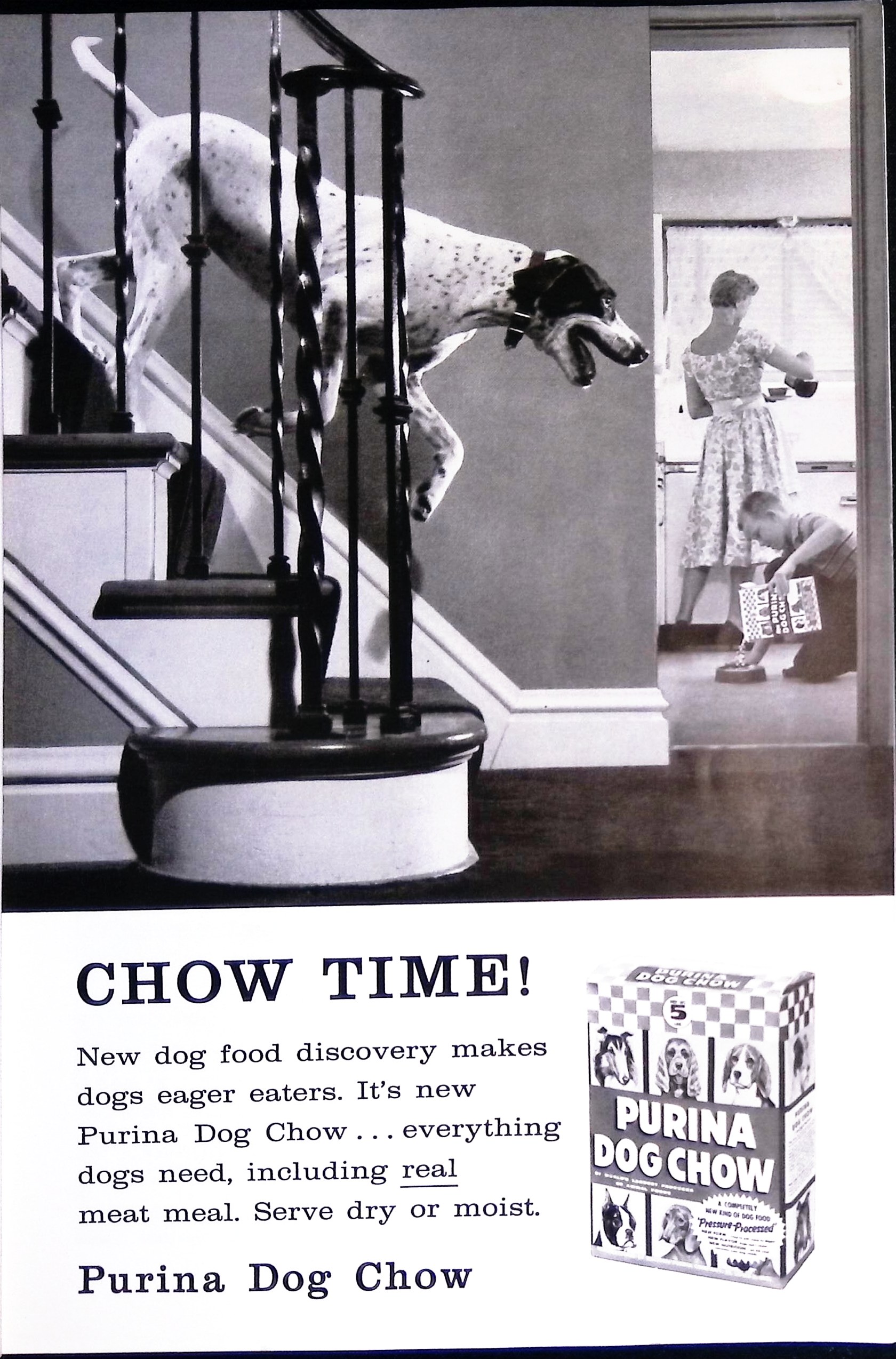 Advertisement ad0013