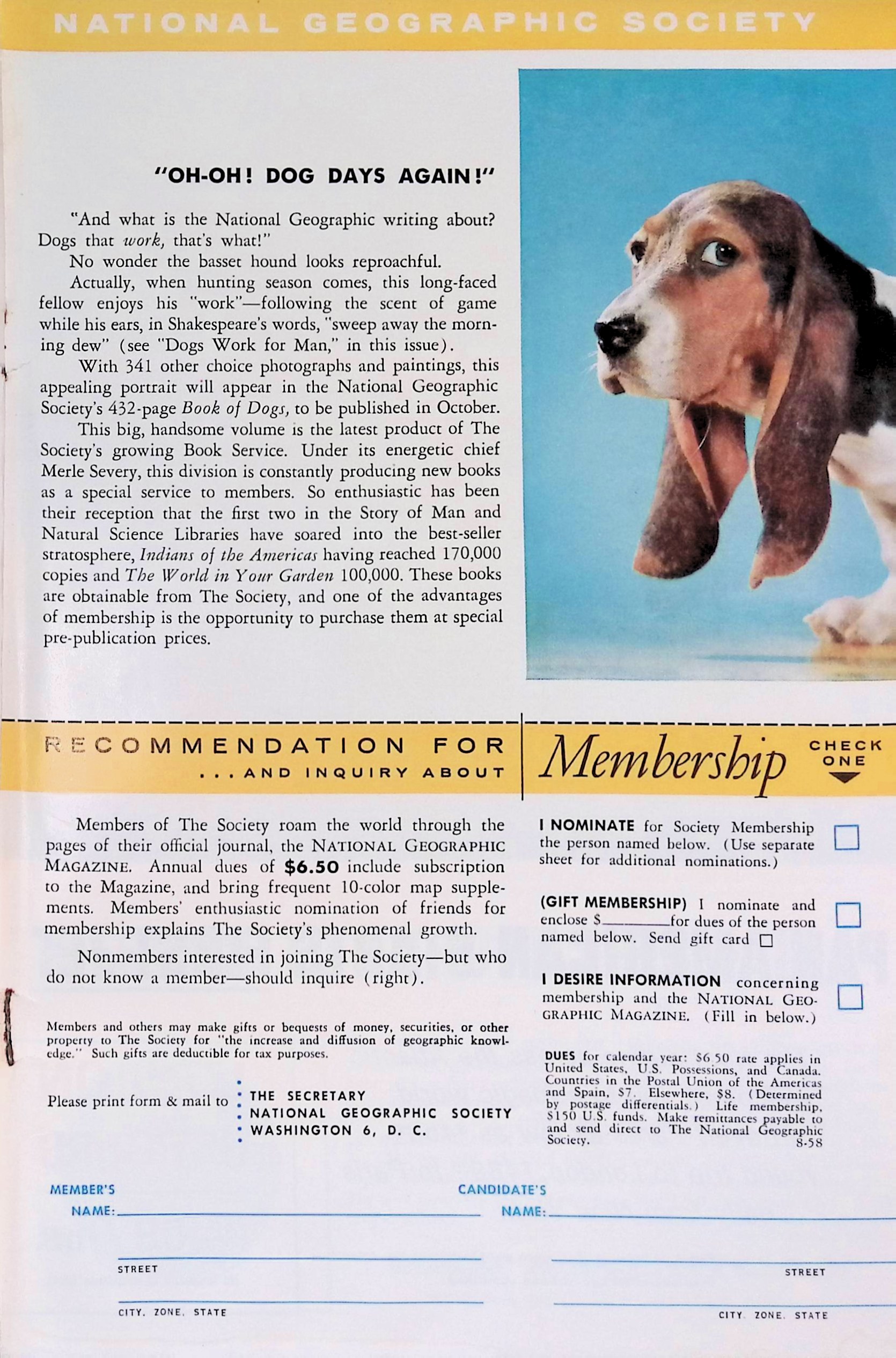 Advertisement ad0031