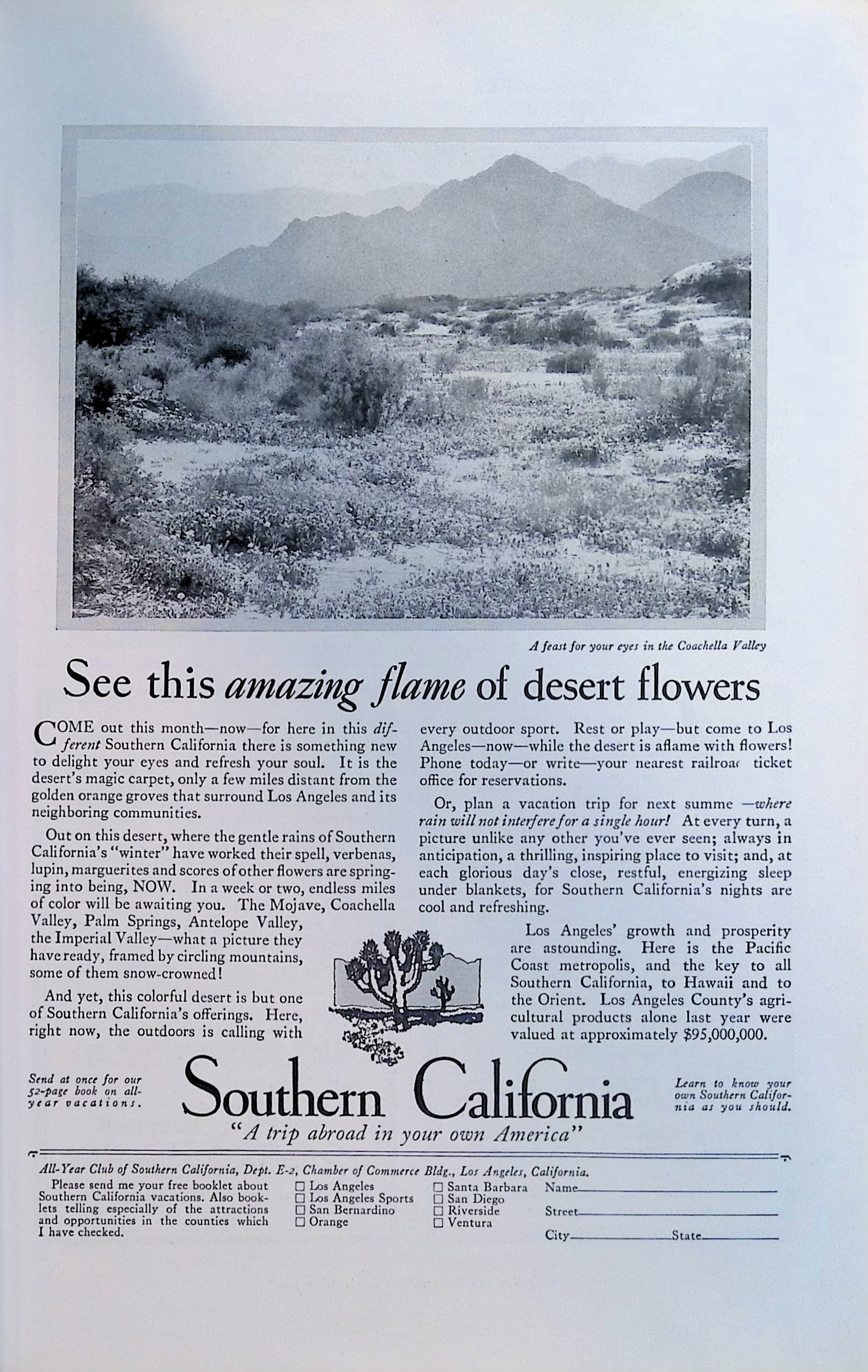 Advertisement ad0025